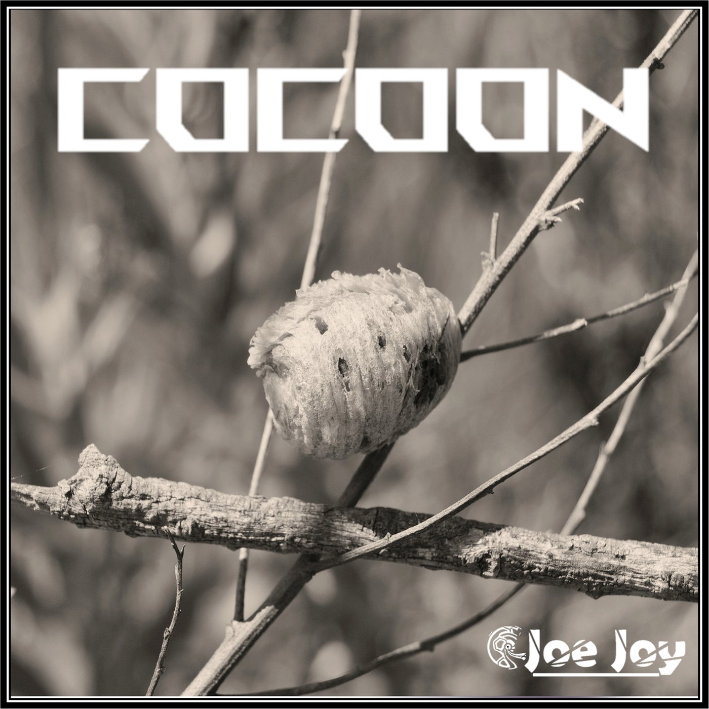 Cocoon