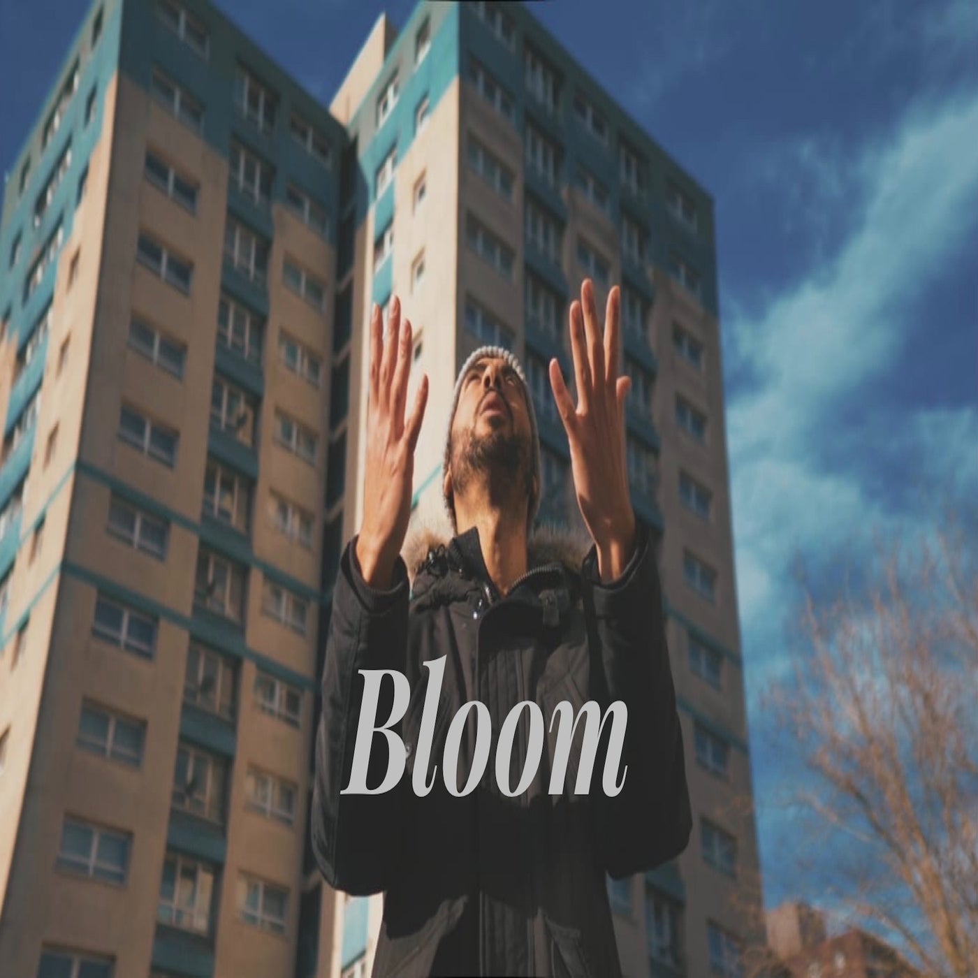 Bloom