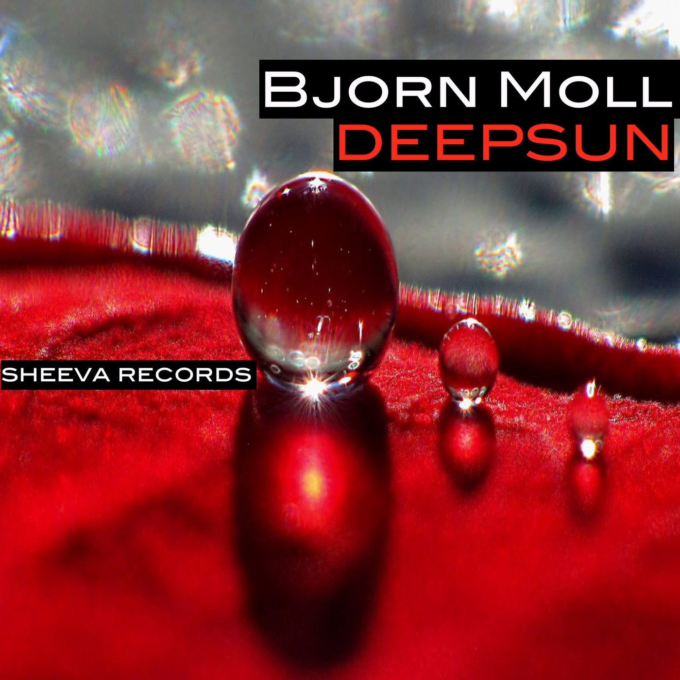 Bjorn Moll Deepsun