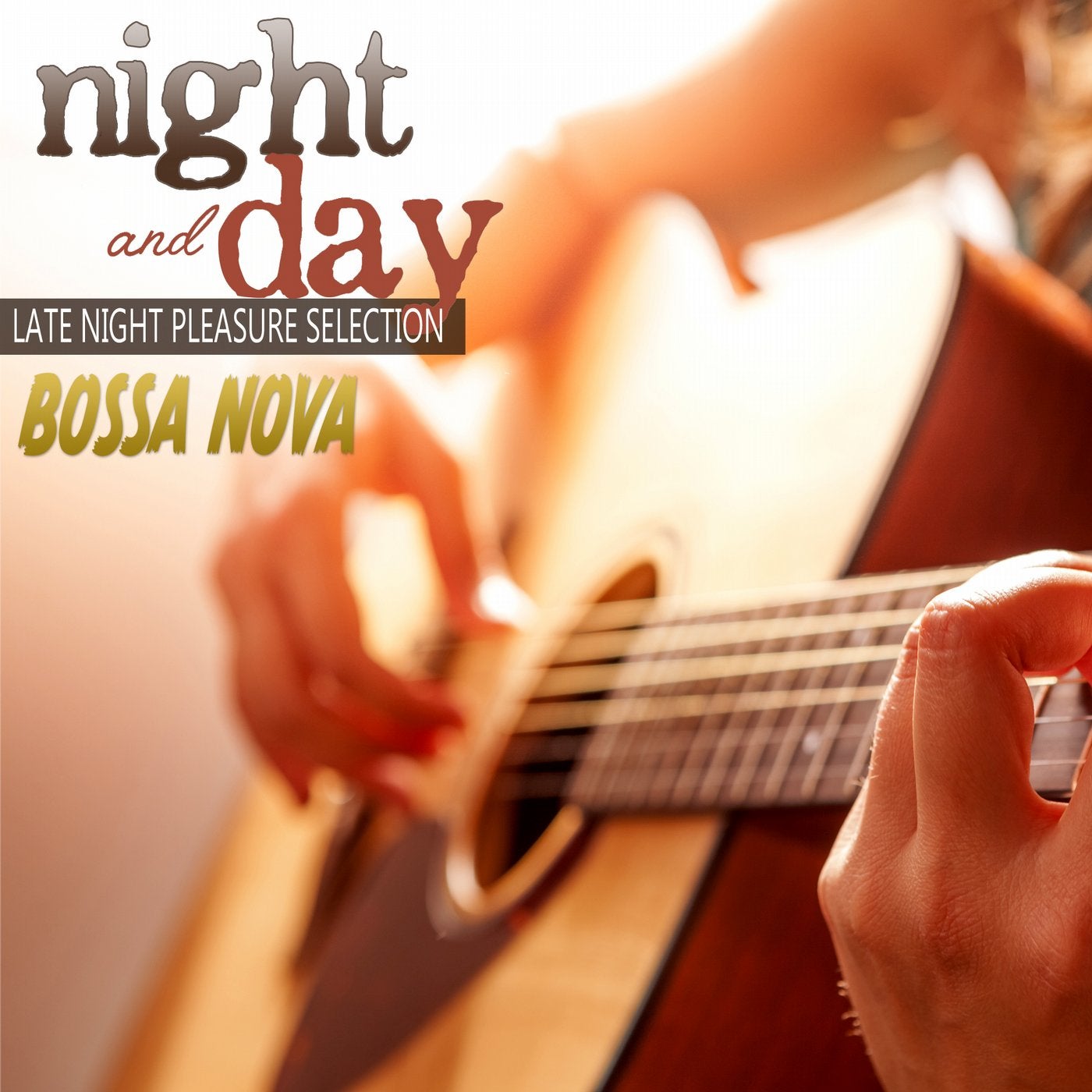 Night and Day: Bossa Nova Late Night Pleasure Selection