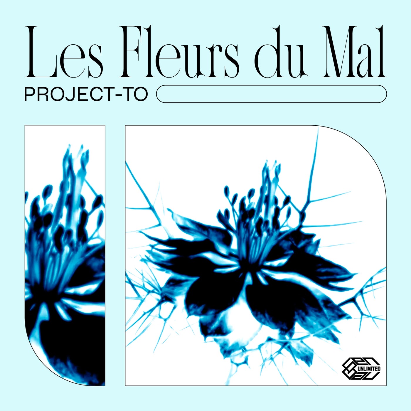 Les fleurs du mal