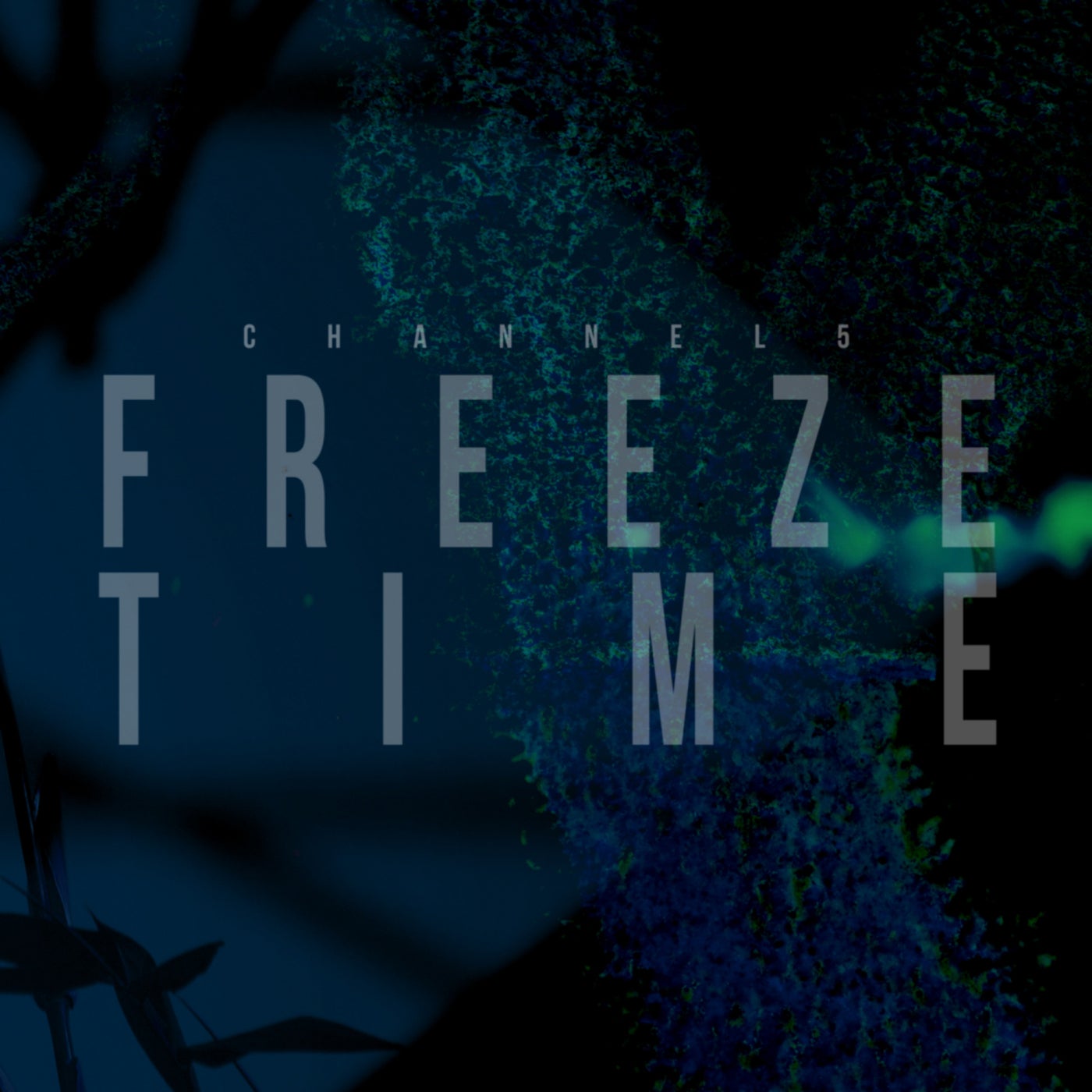 Freeze Time