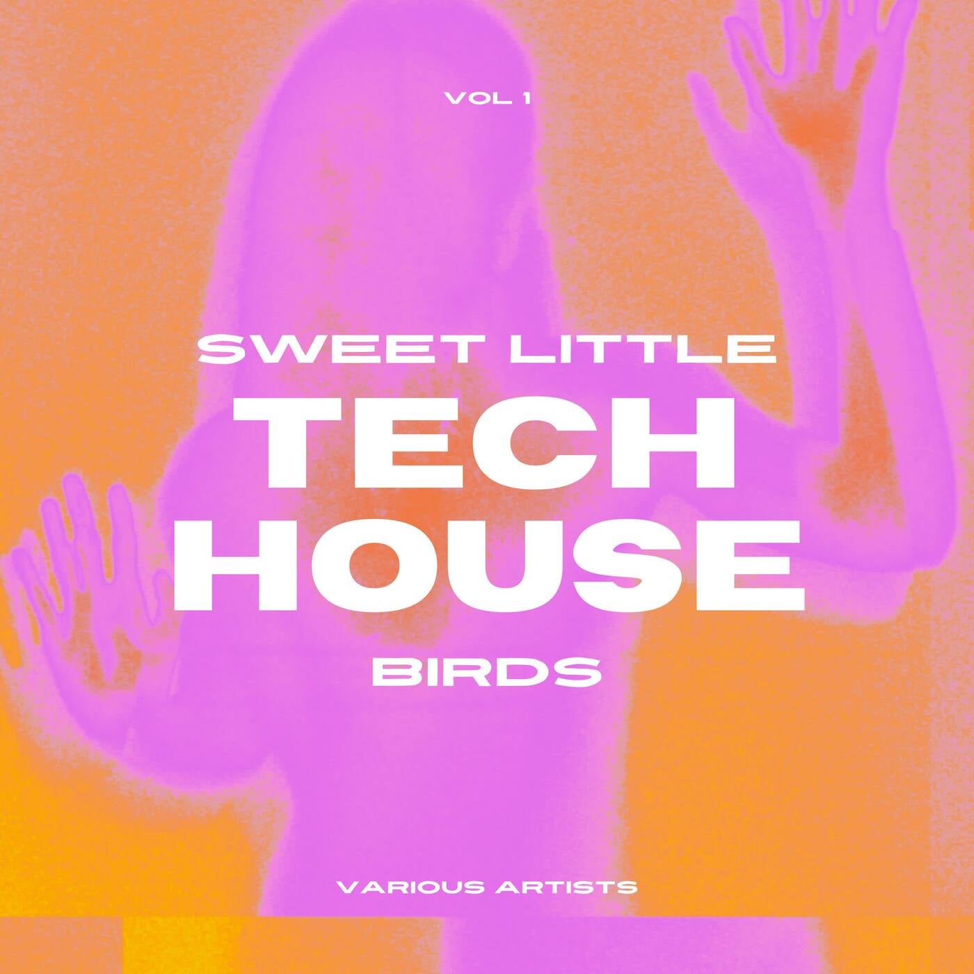 Sweet Little Tech House Birds, Vol. 1