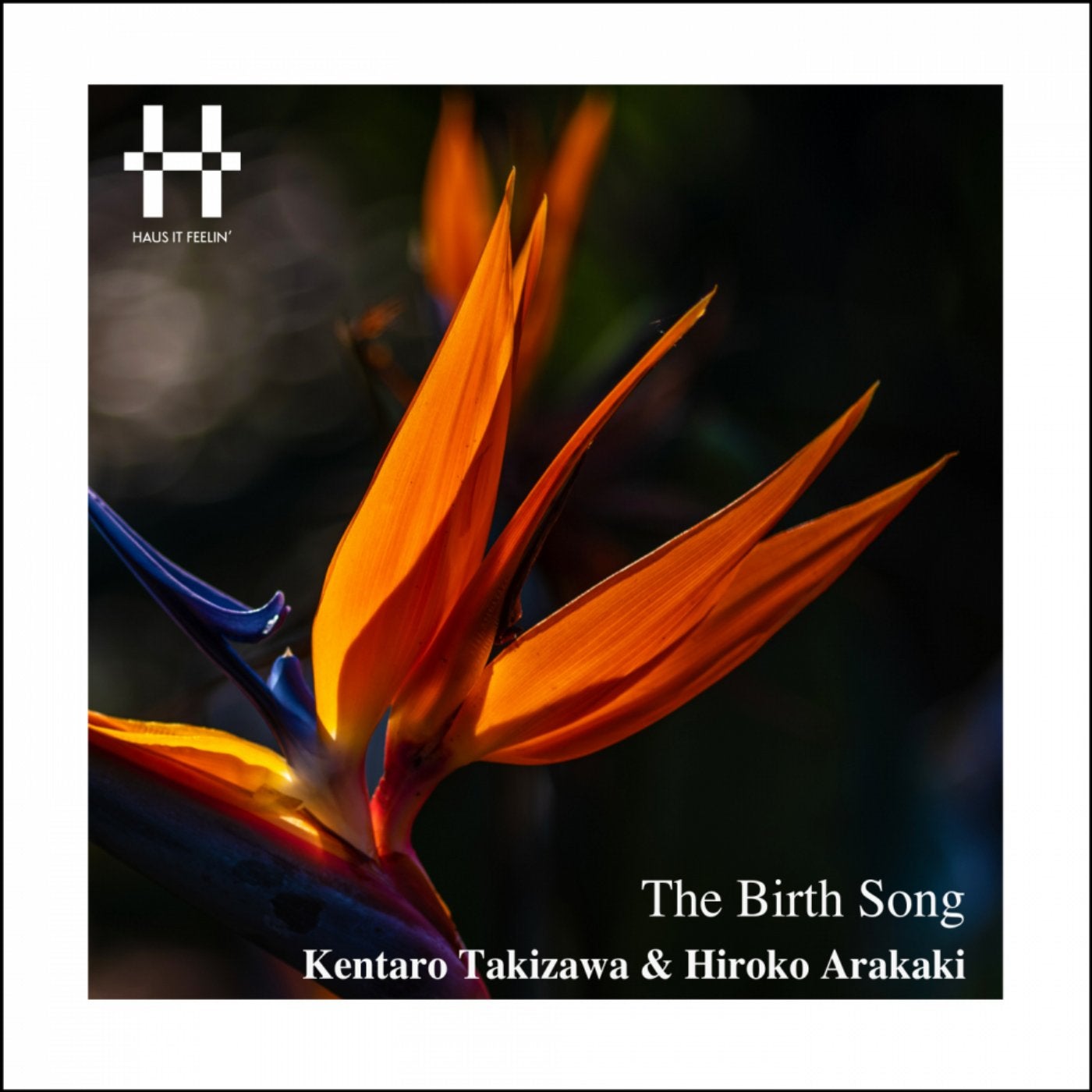 Kentaro Takizawa music download - Beatport
