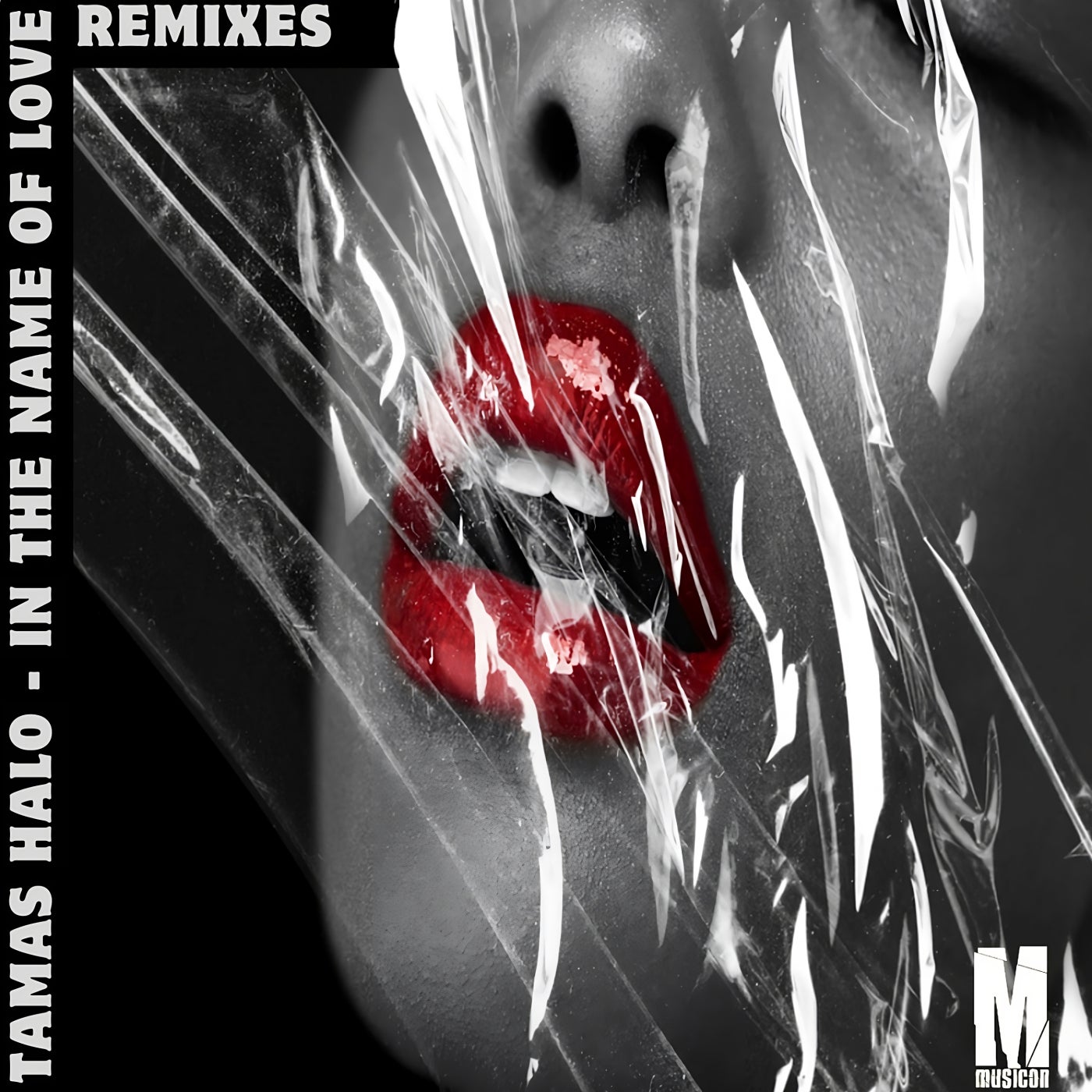 In the Name of Love Remixes