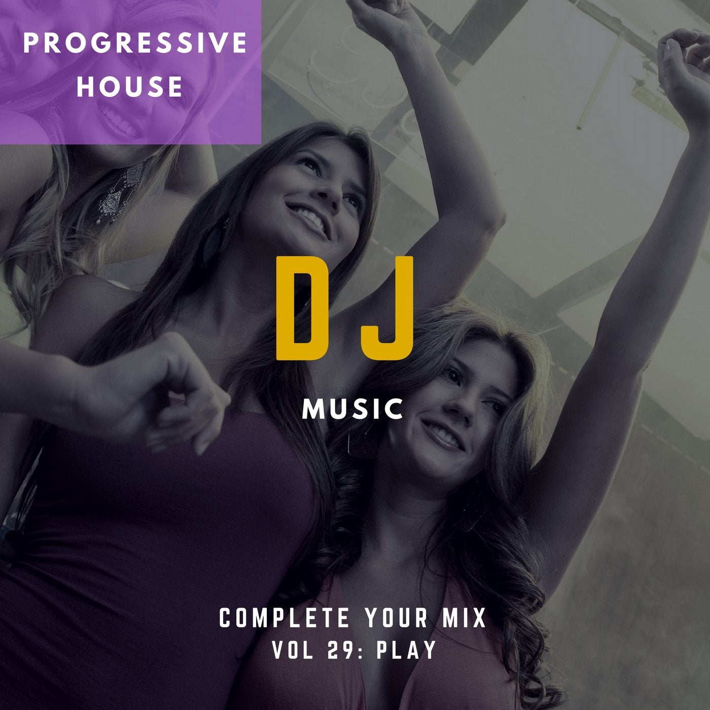 DJ Music - Complete Your Mix, Vol. 29