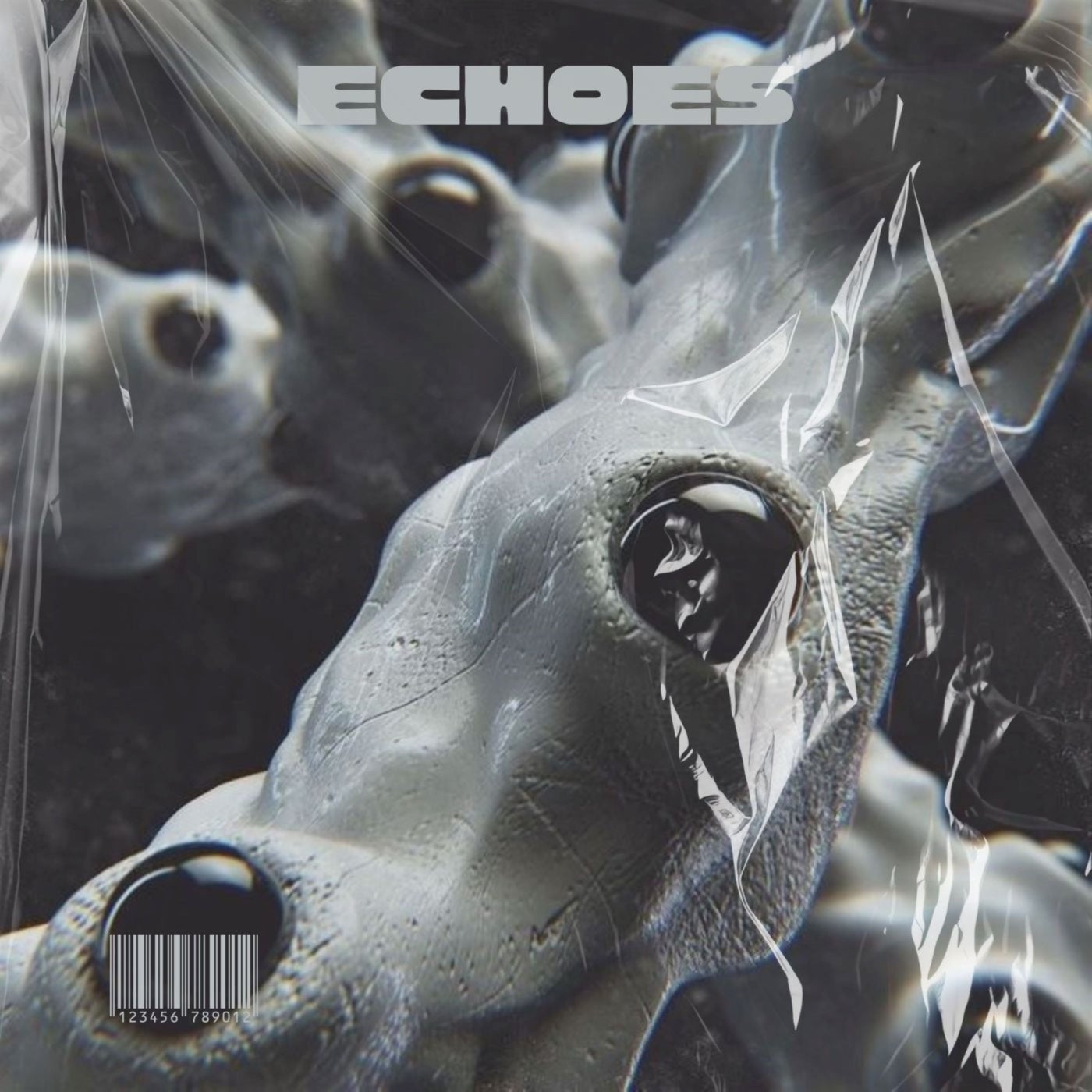 Echoes