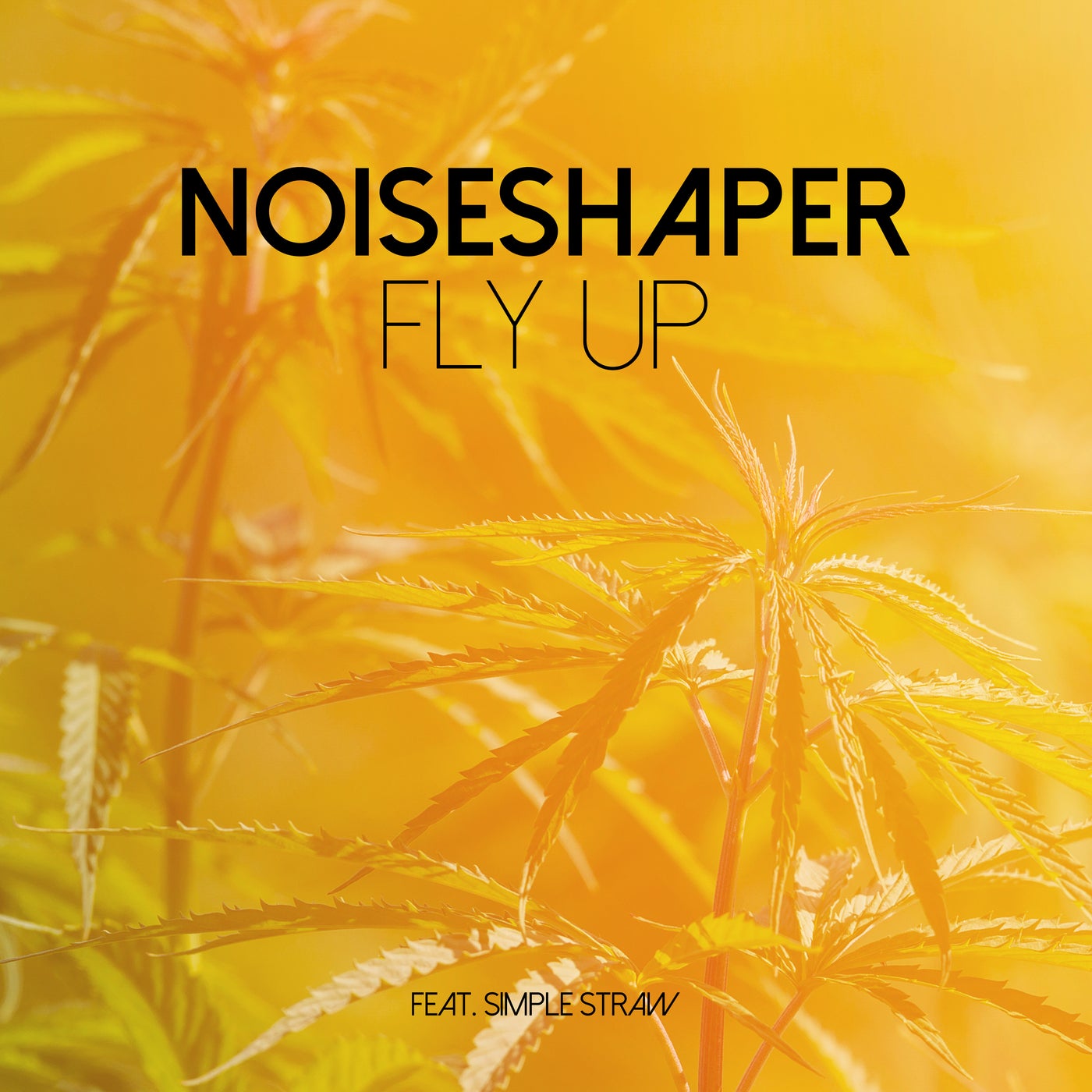 Fly Up