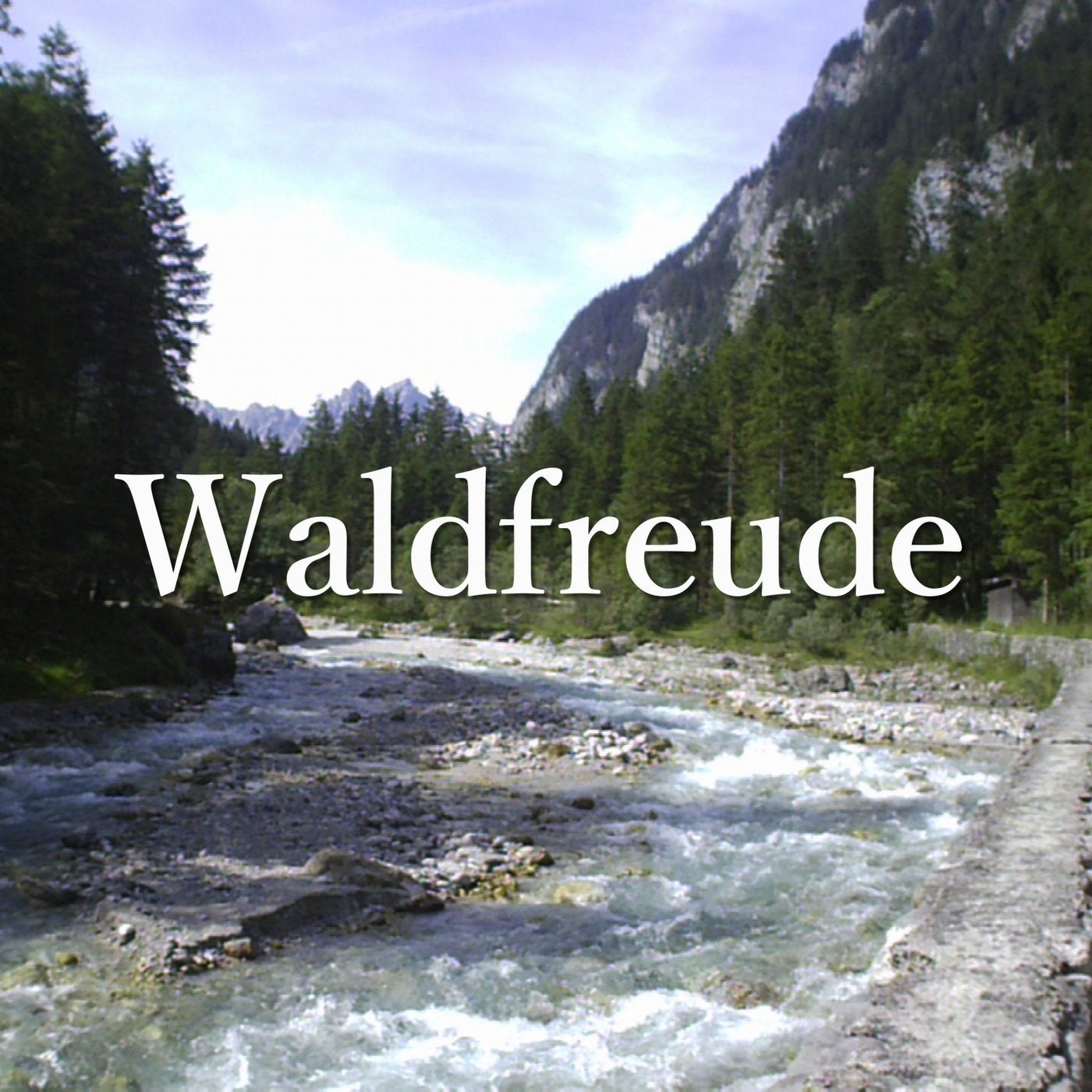 Waldfreude (About 30 Electronic Tracks)
