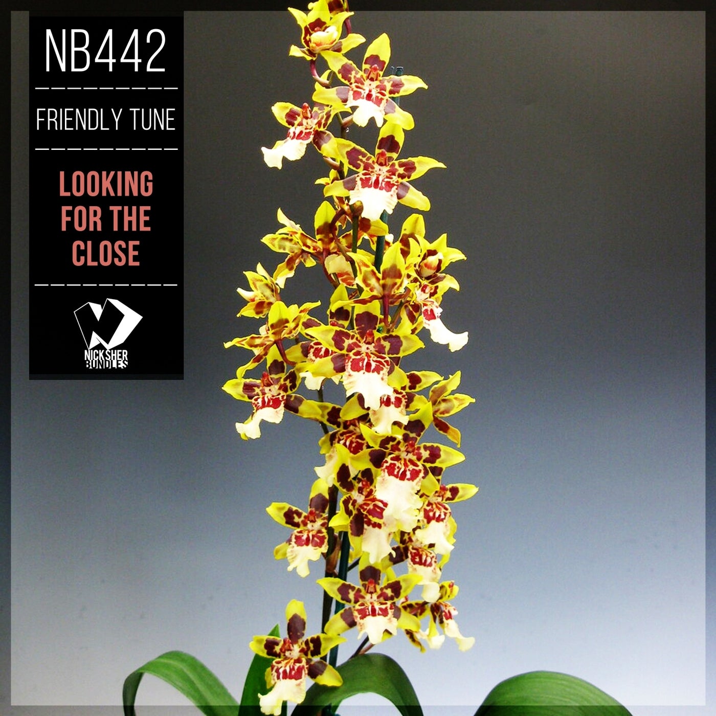 Looking for the Close