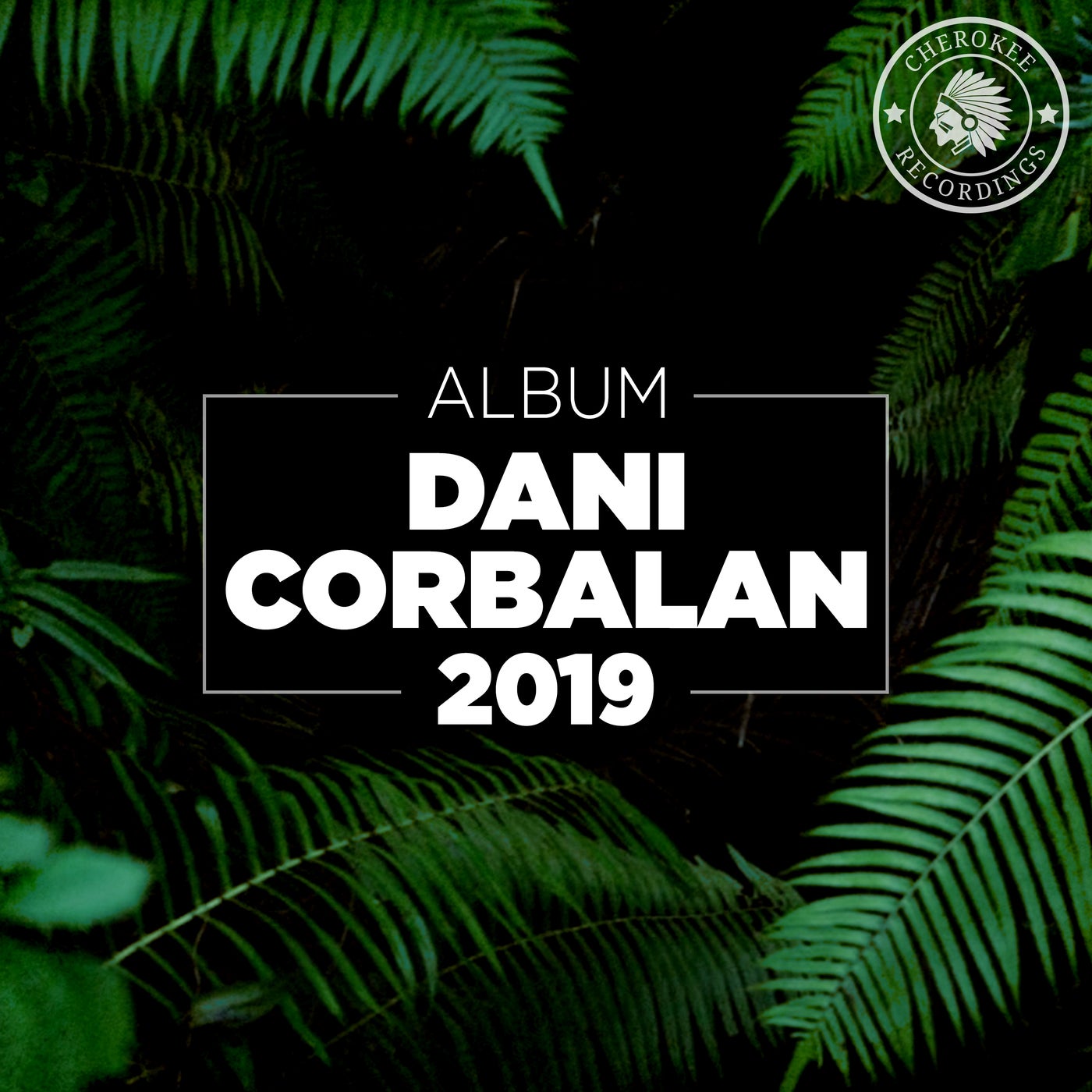 2019 Album