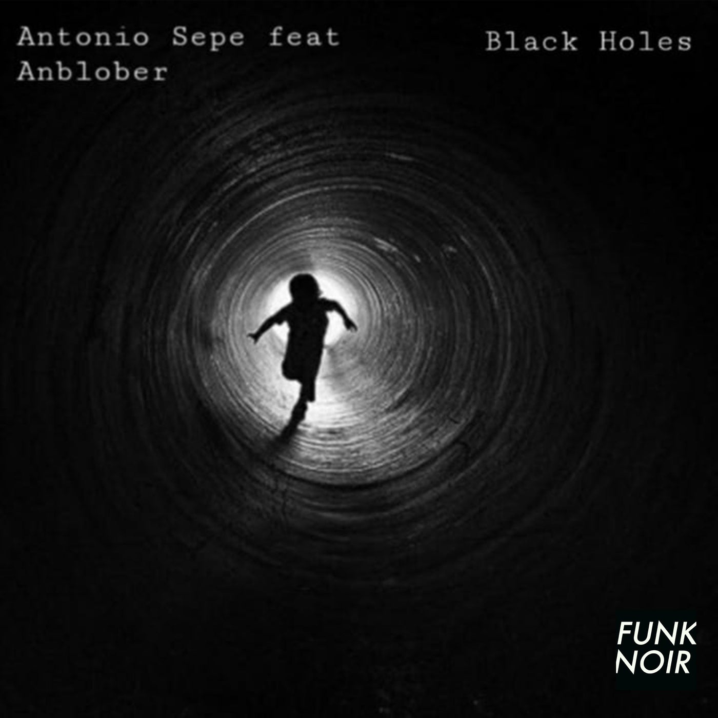 Black Holes