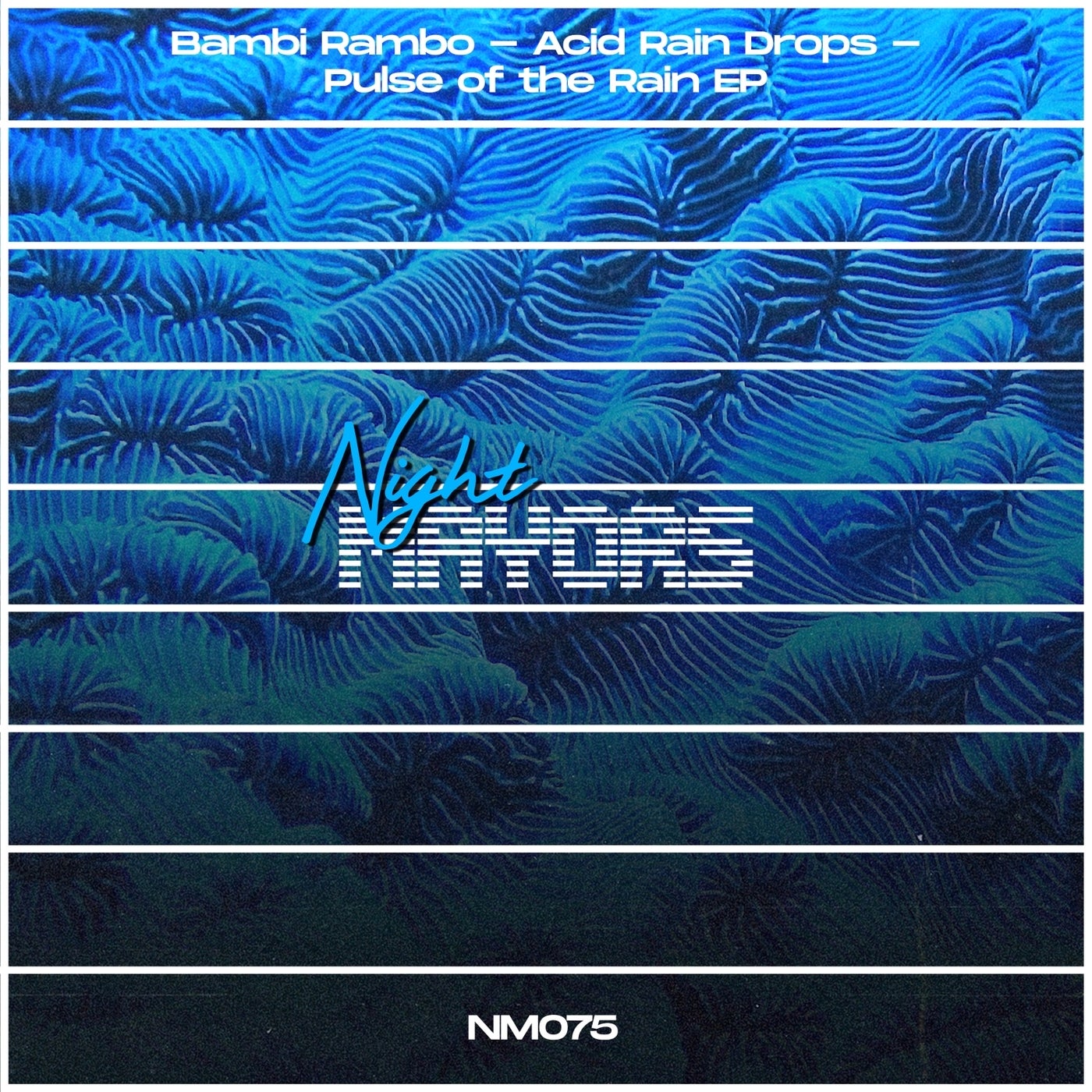 Pulse Of The Rain EP