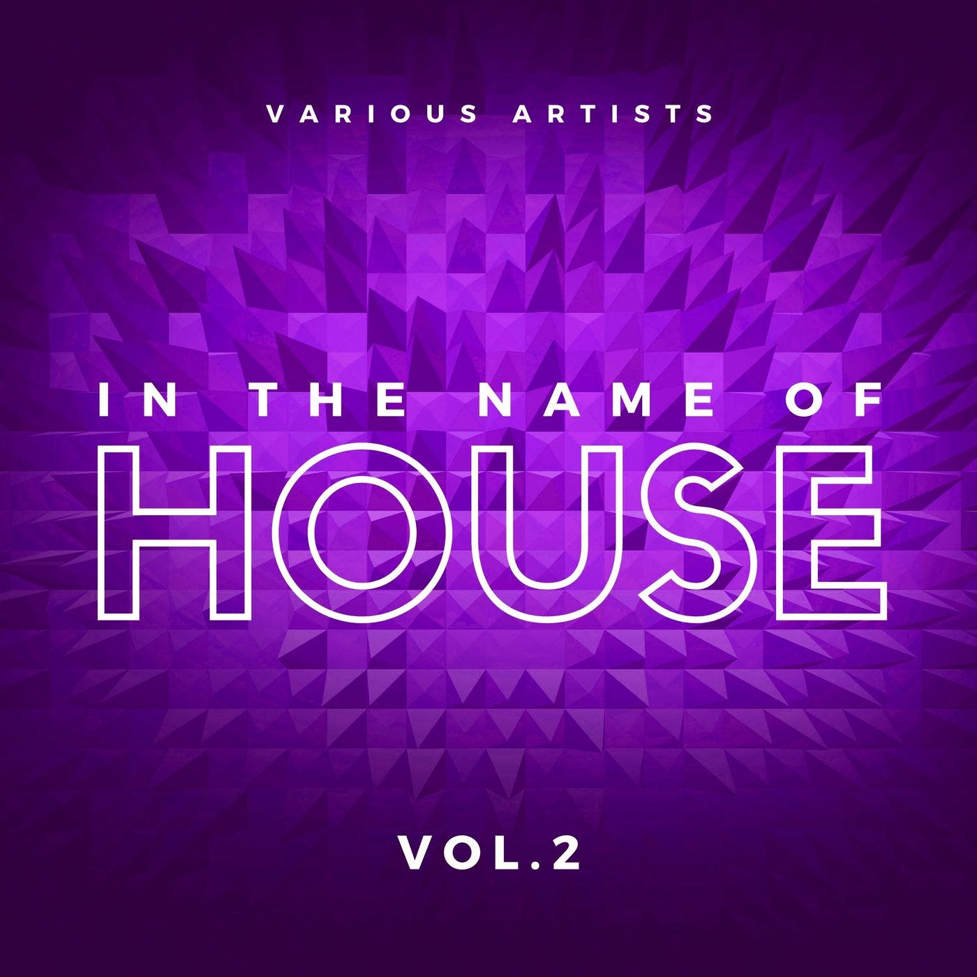 In the Name of House, Vol. 2