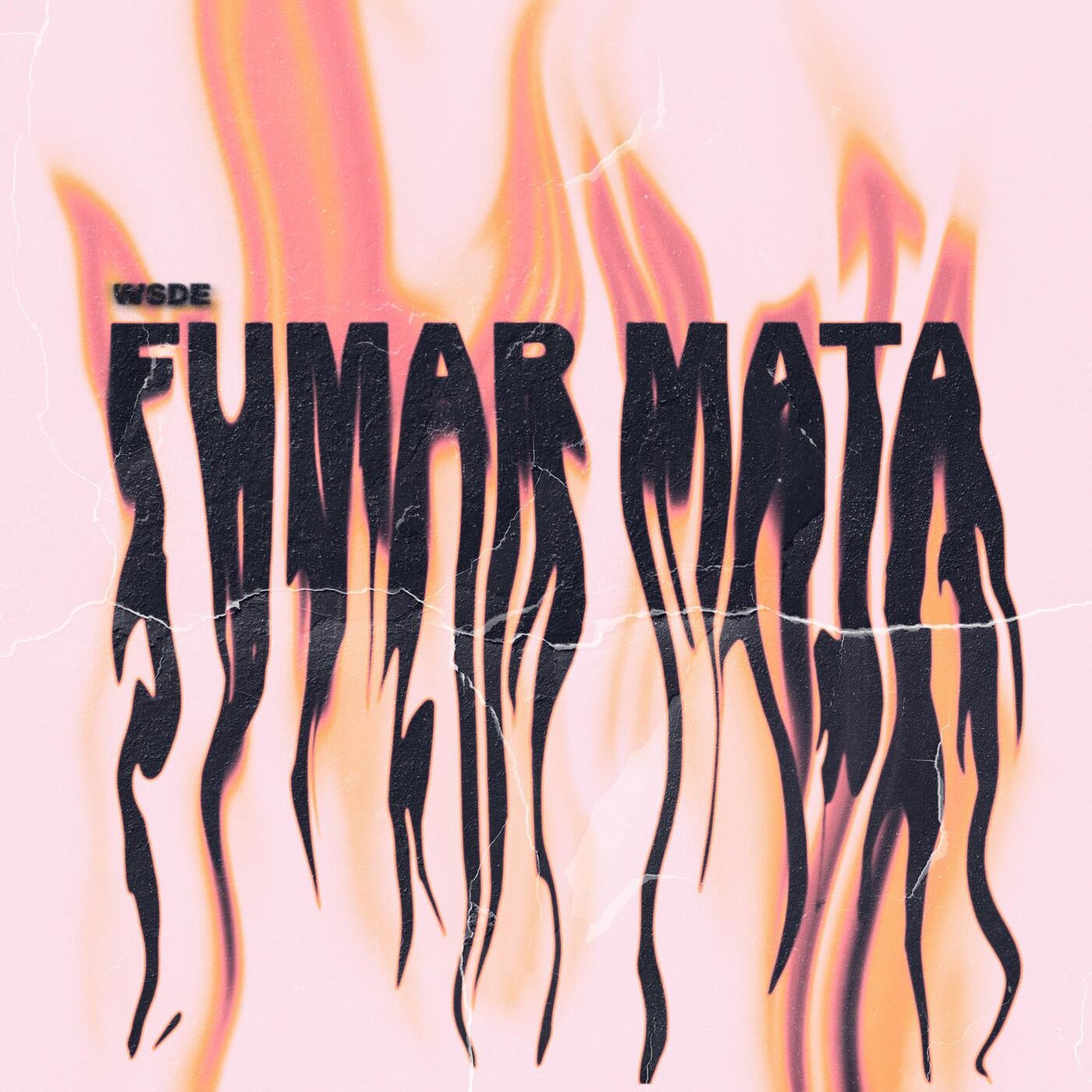 Fumar Mata