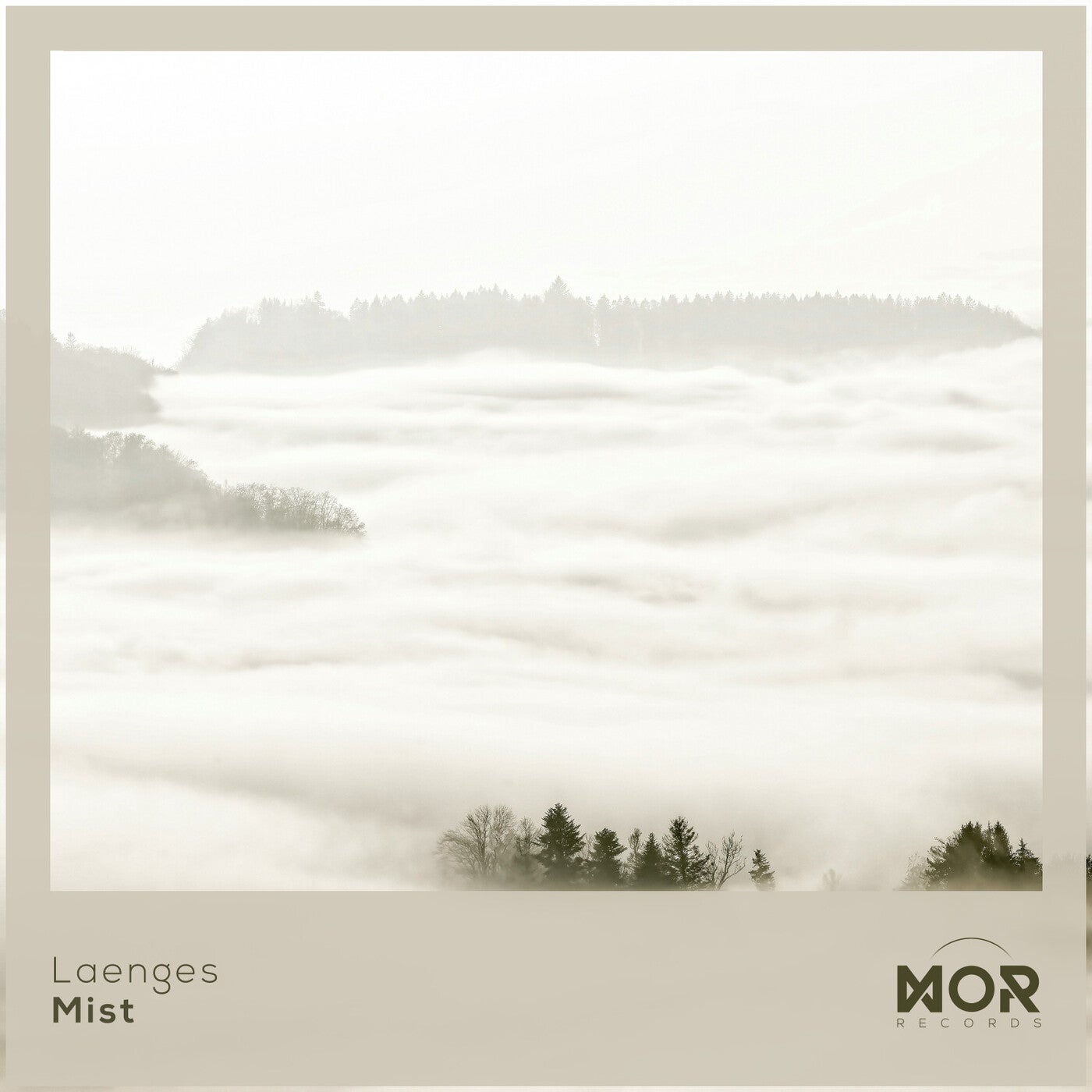 Mist