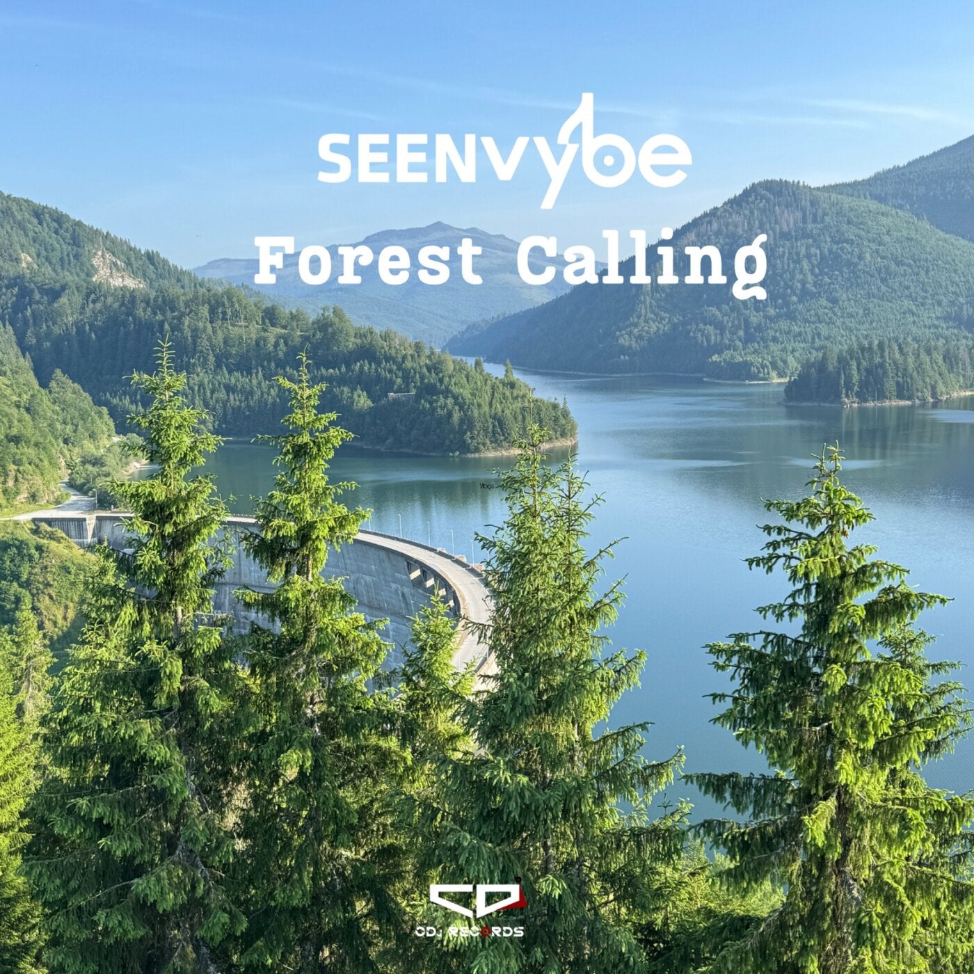 Forest Calling