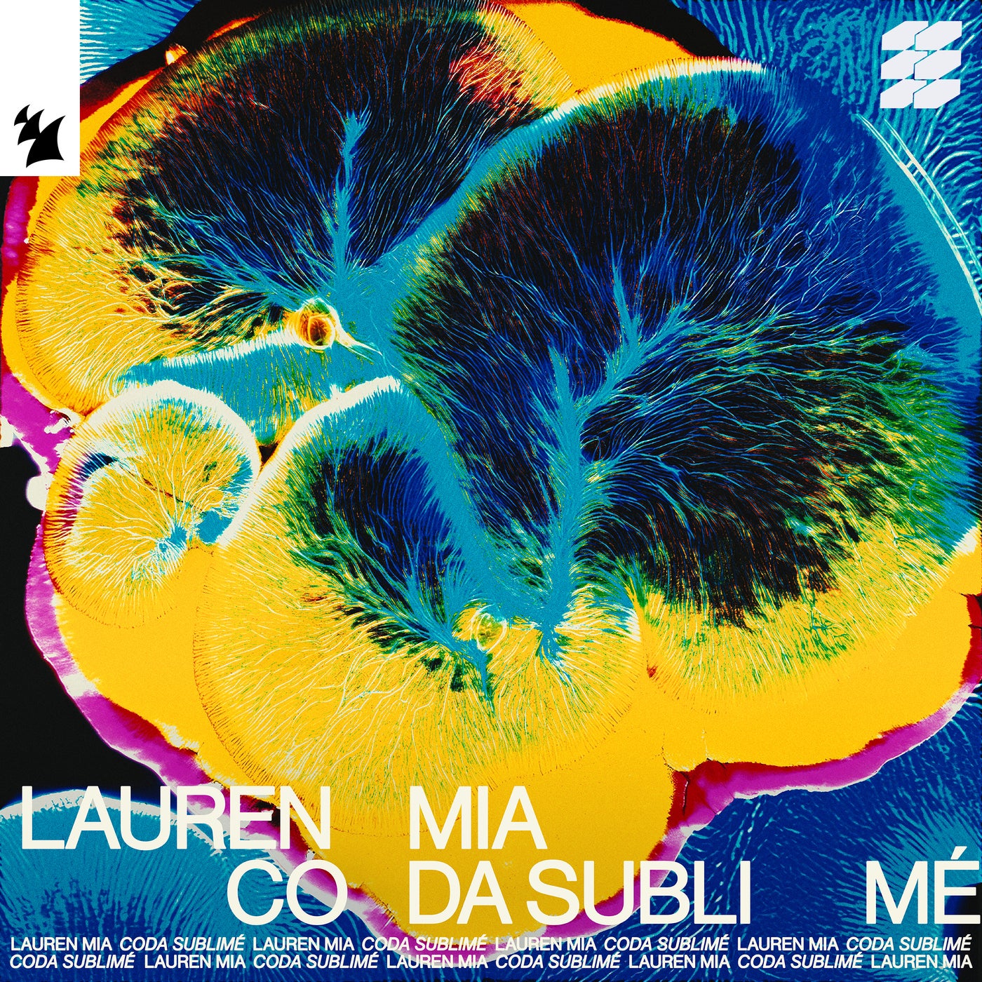 Coda Sublimé