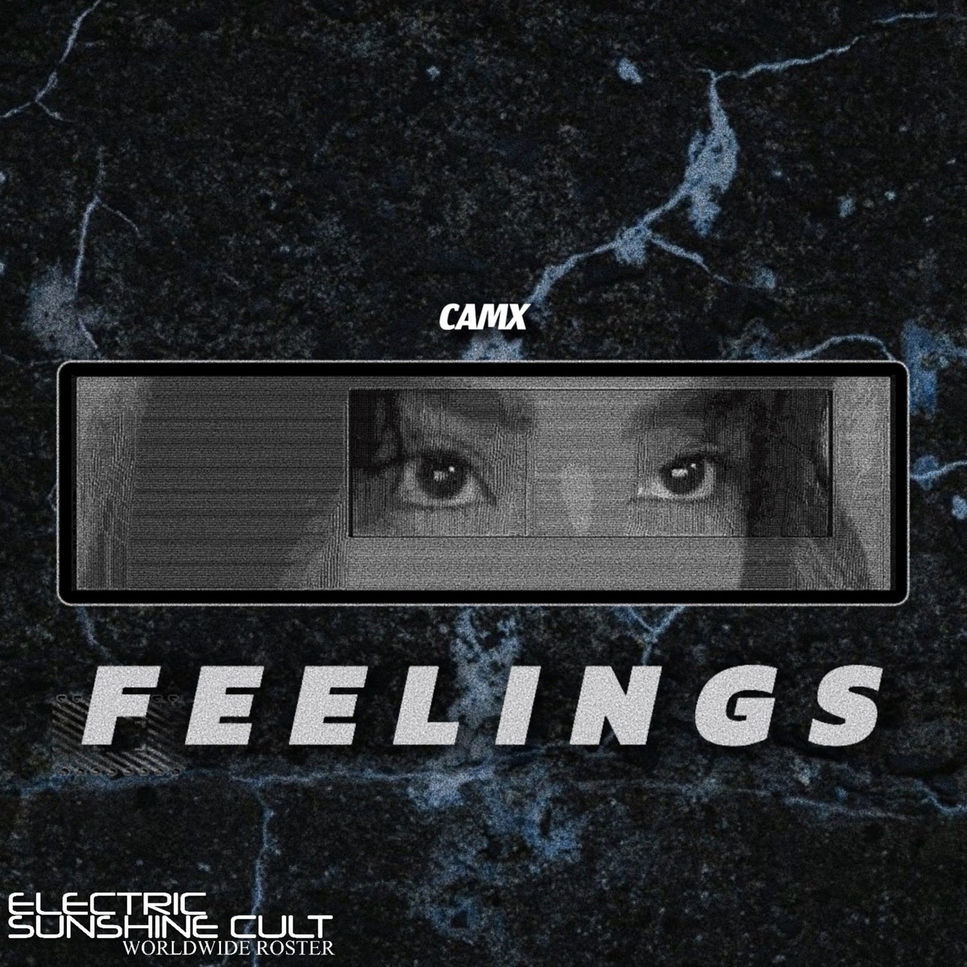 Feelings