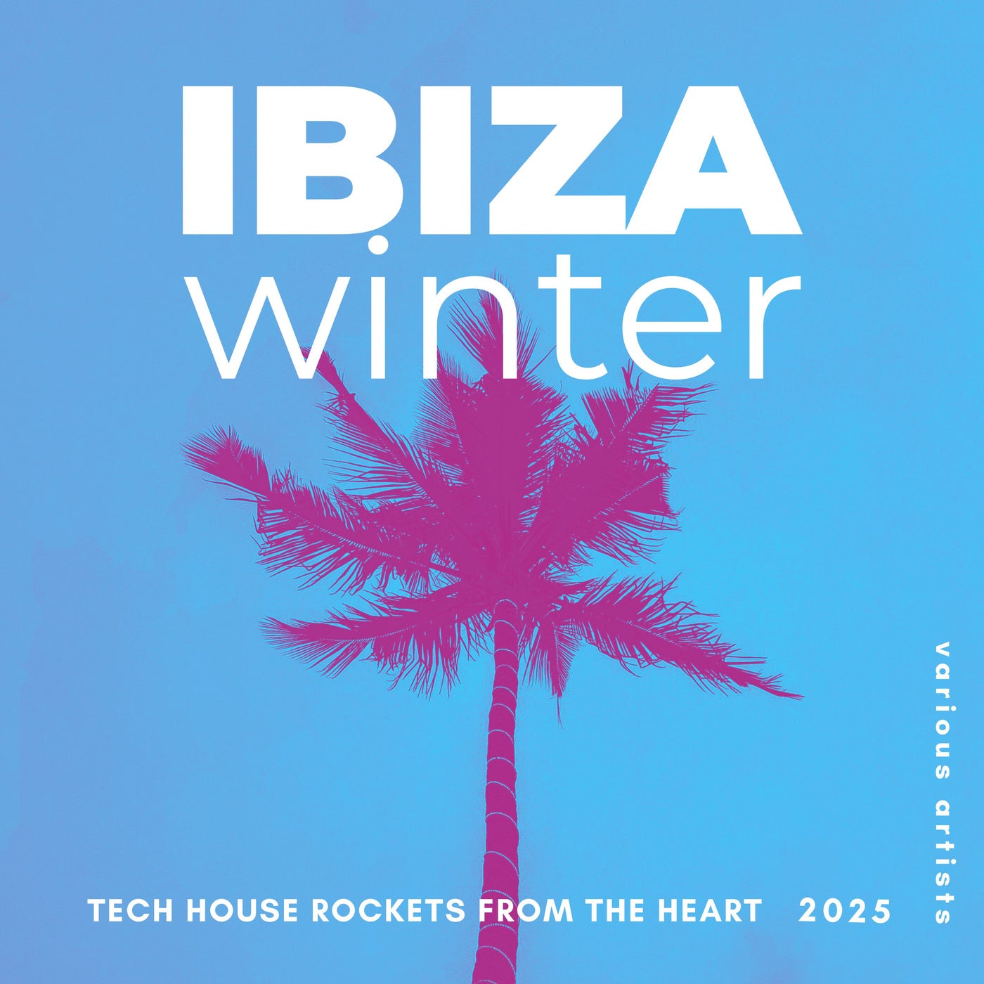 Ibiza Winter 2025 (Tech House Rockets from the Heart)