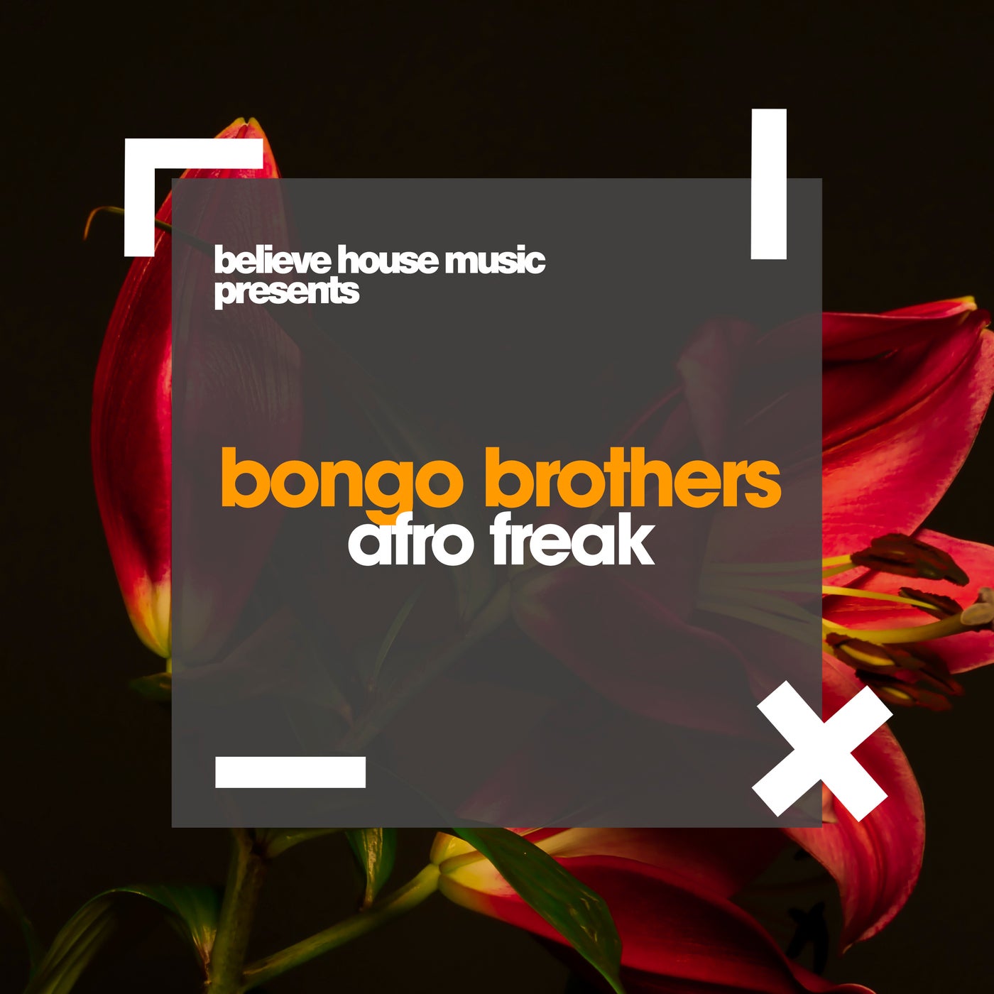 Bongo Brothers - Afro Freak [Believe House Music] | Music & Downloads on  Beatport