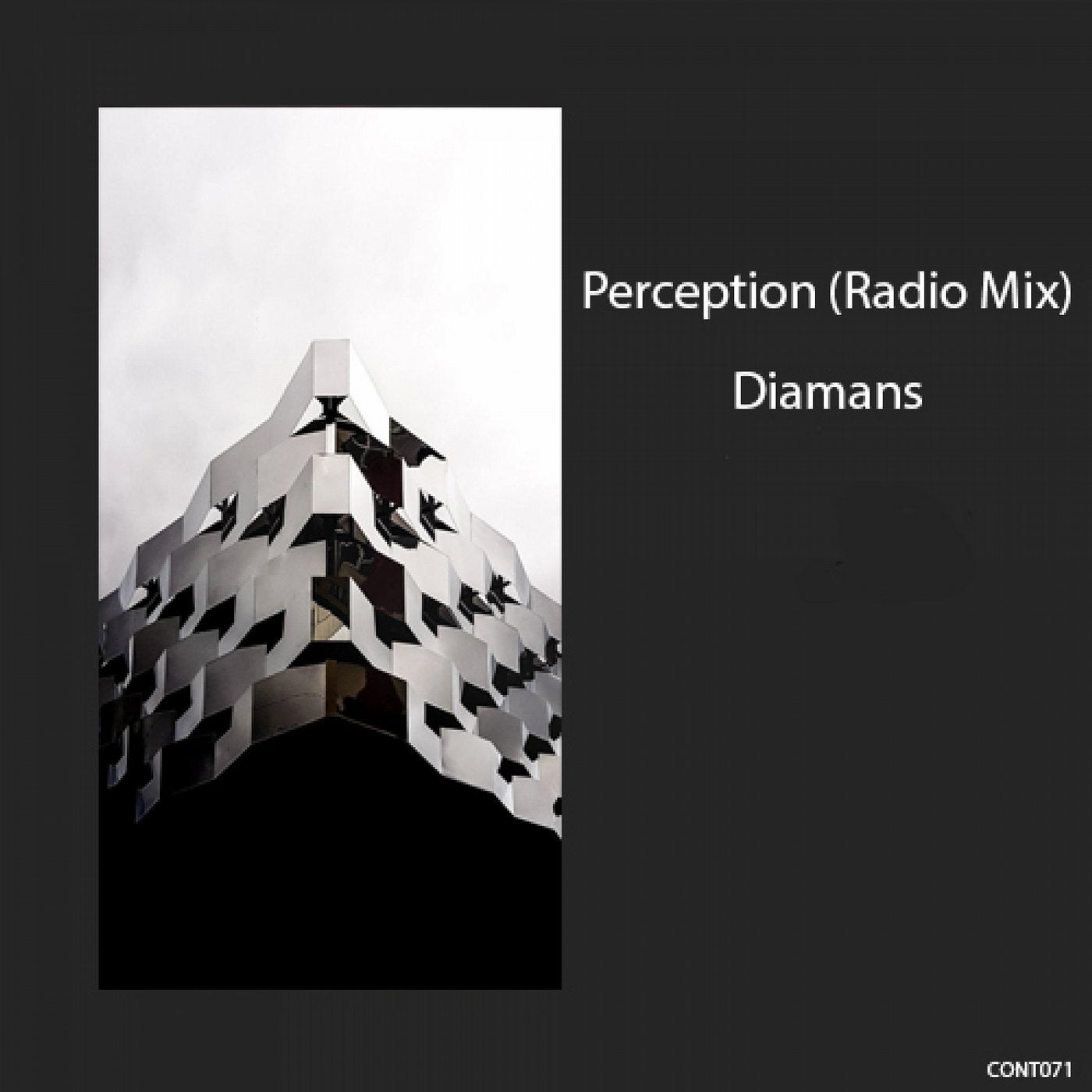 Perception (Radio Mix)