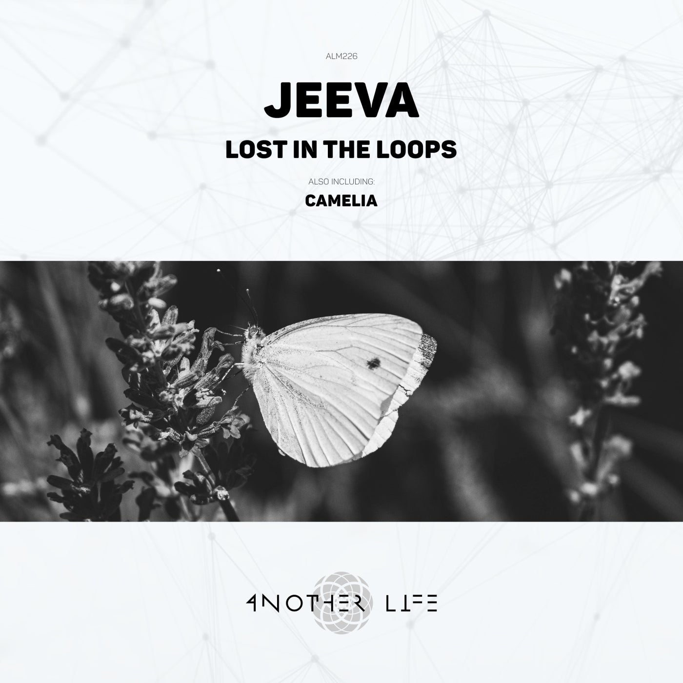 Lost in the Loops