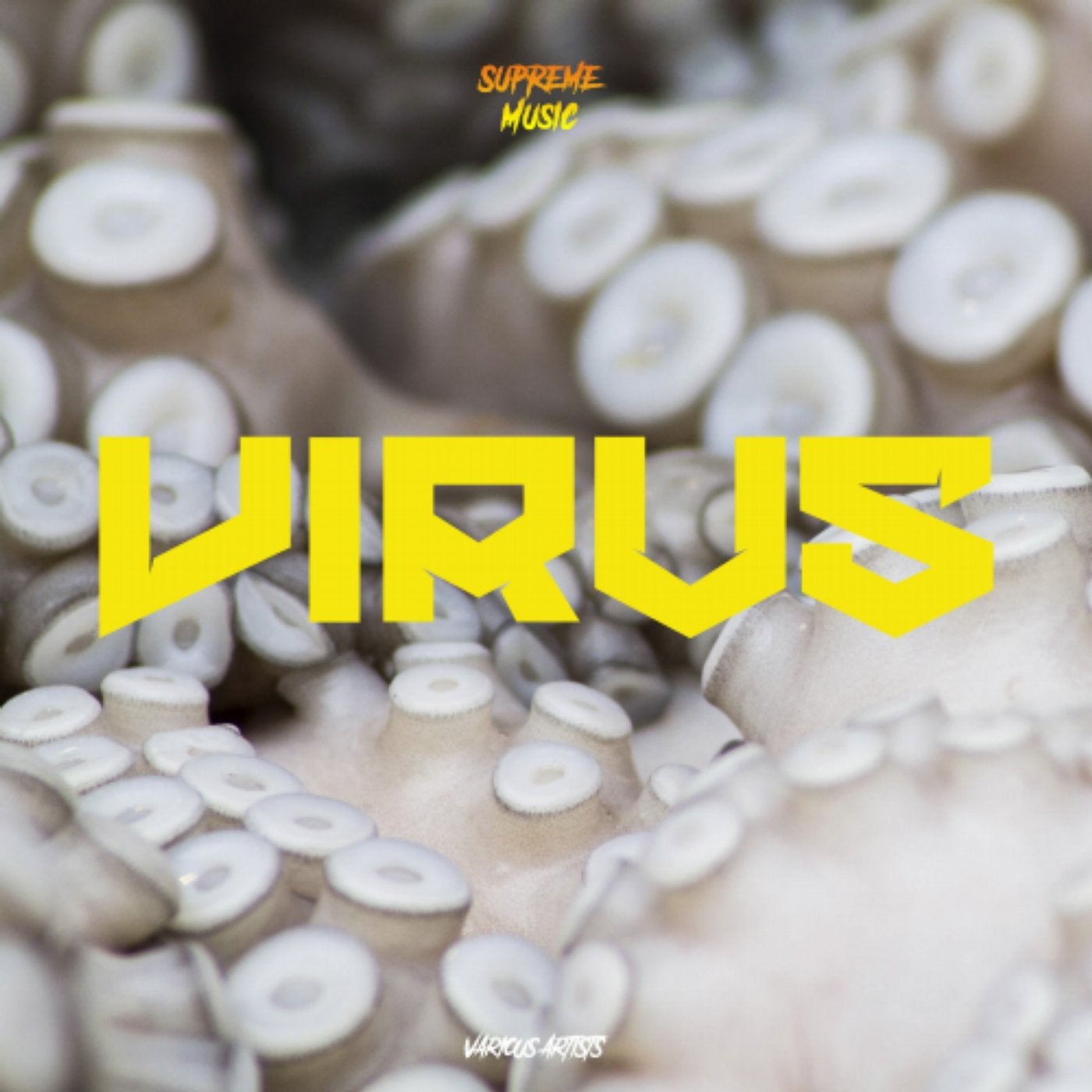 Virus