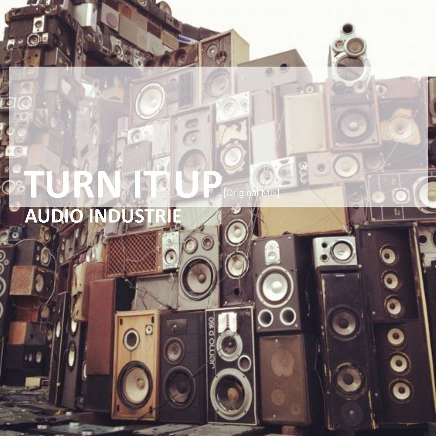 Turn It Up (Original Mix)
