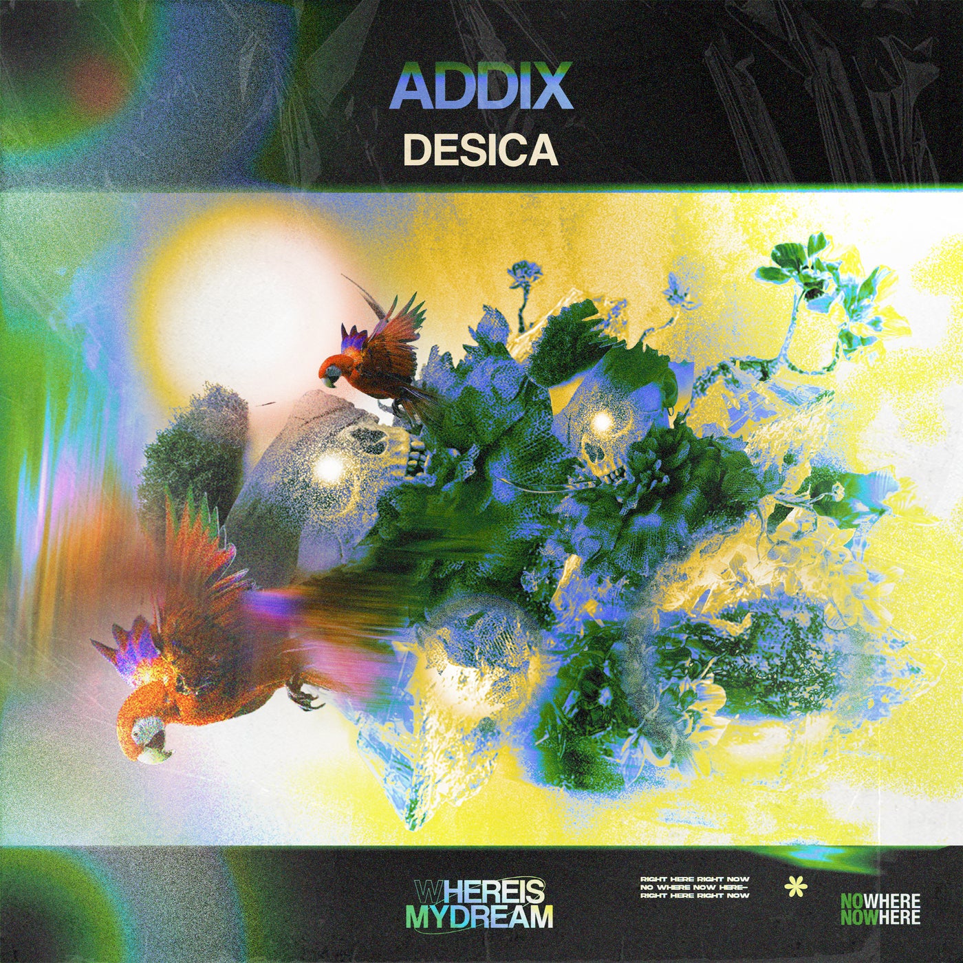 Cover art for Desica