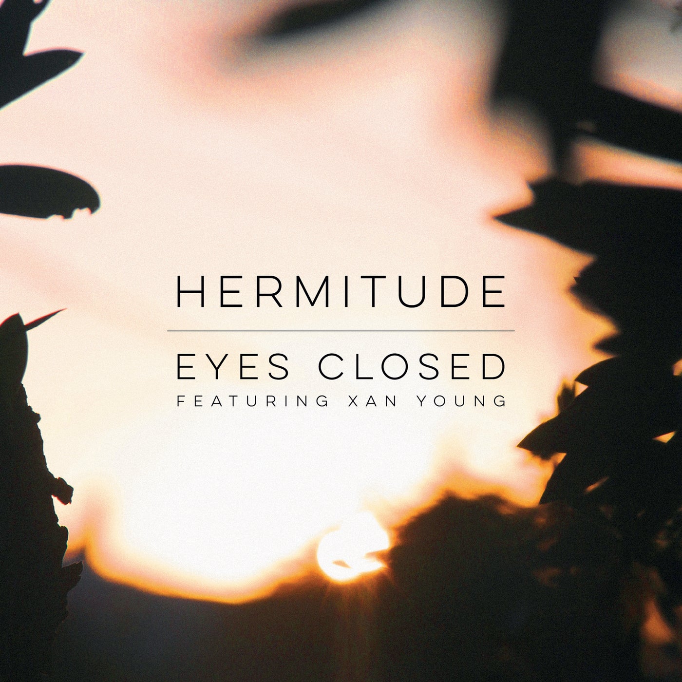 Песня closer eyes. Close Eyes песня. Close Eyes обложка песни. Hermitude. Close Eyes трек.