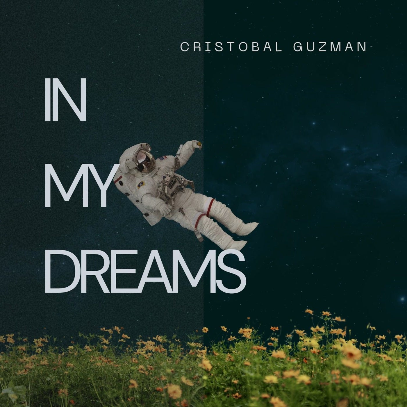 IN MY DREAMS