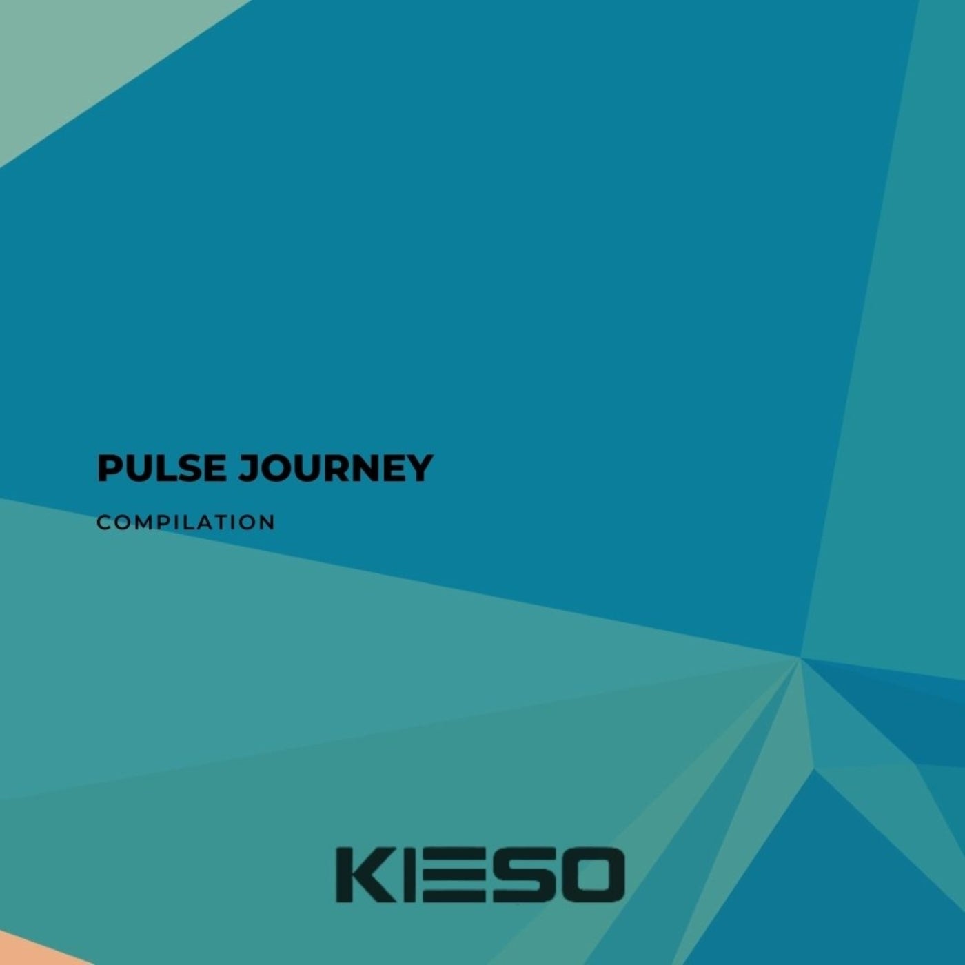 Pulse Journey