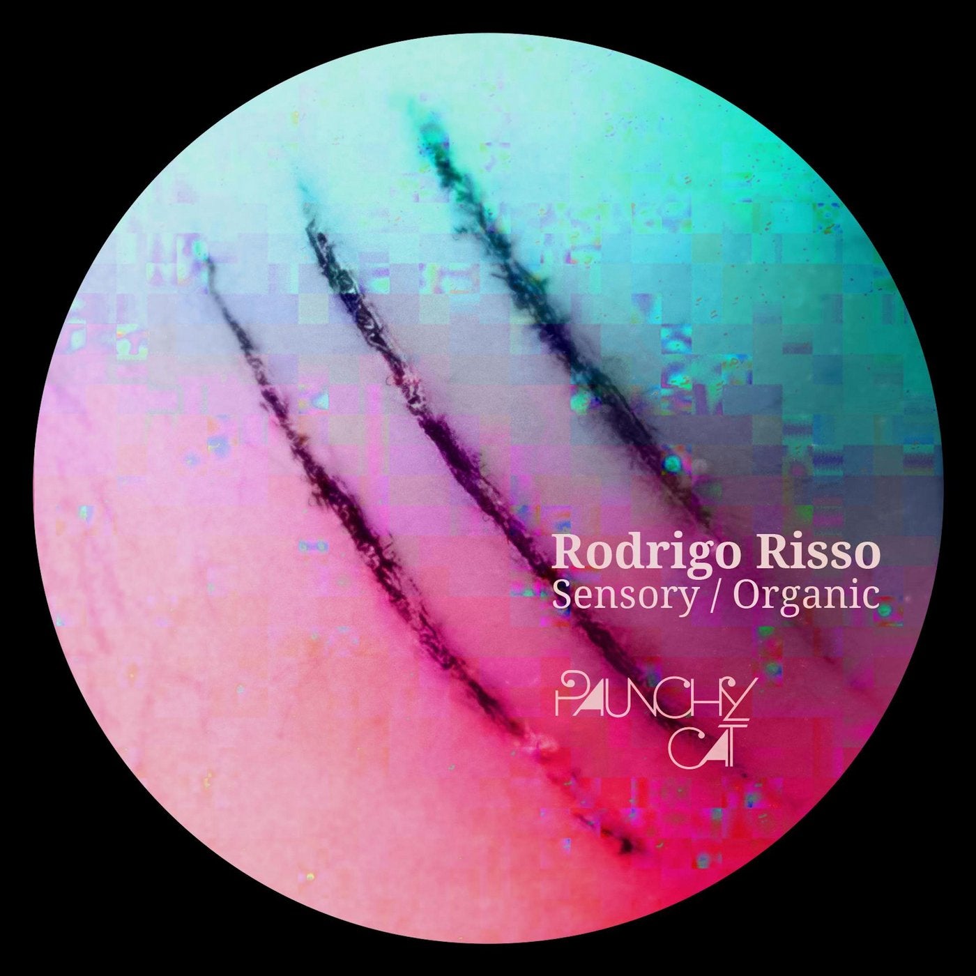 Sensory / Organic EP