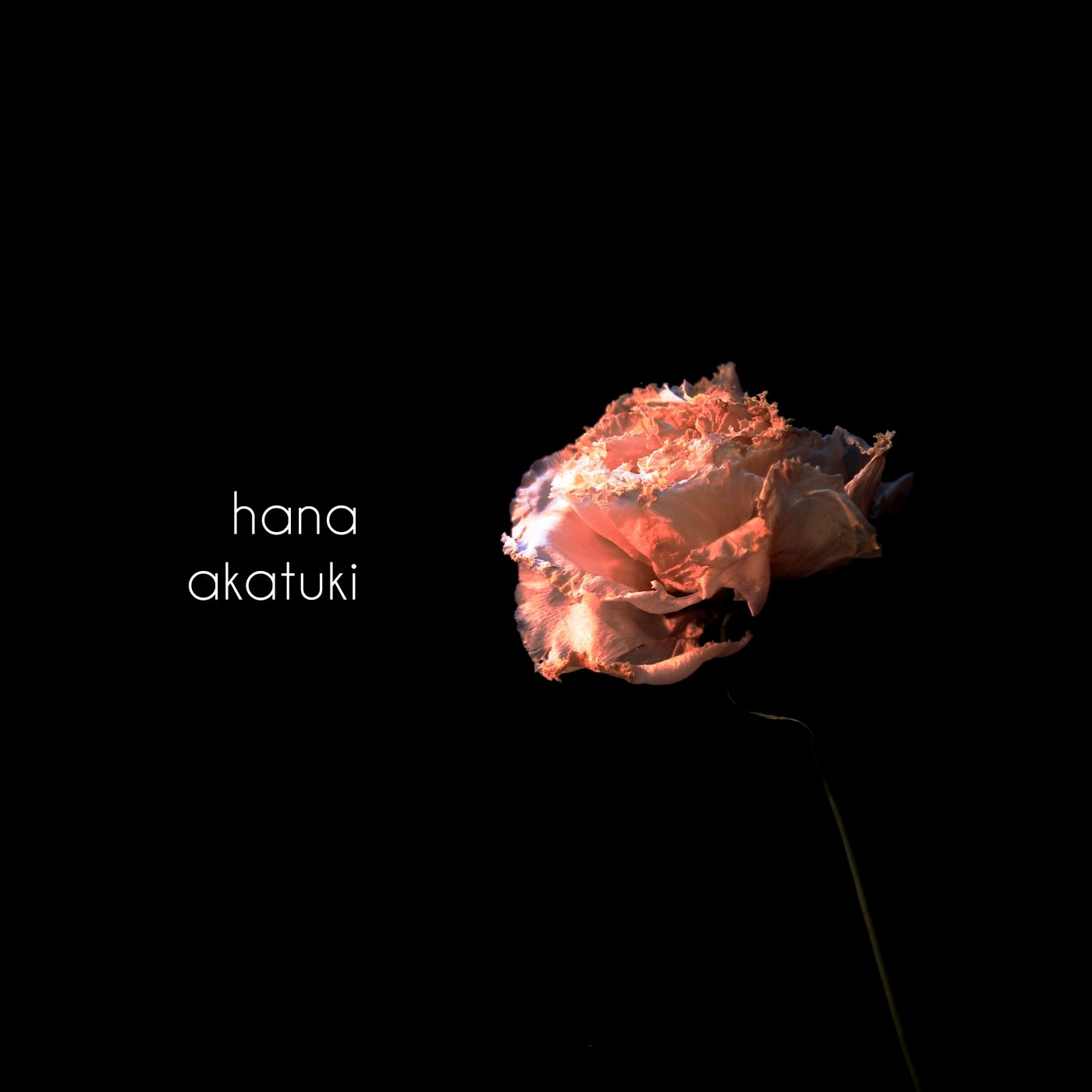 Hana
