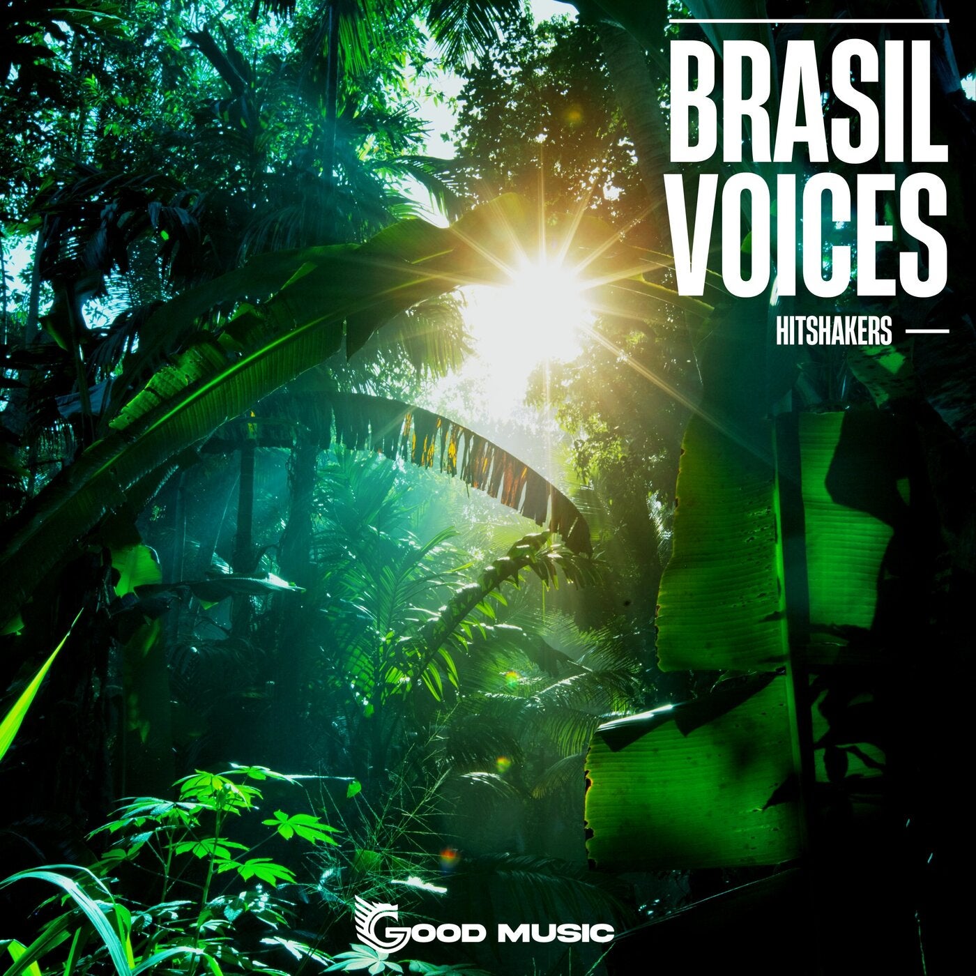Brasil Voices