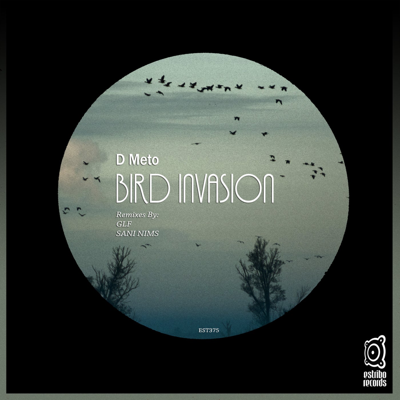 Bird Invasion