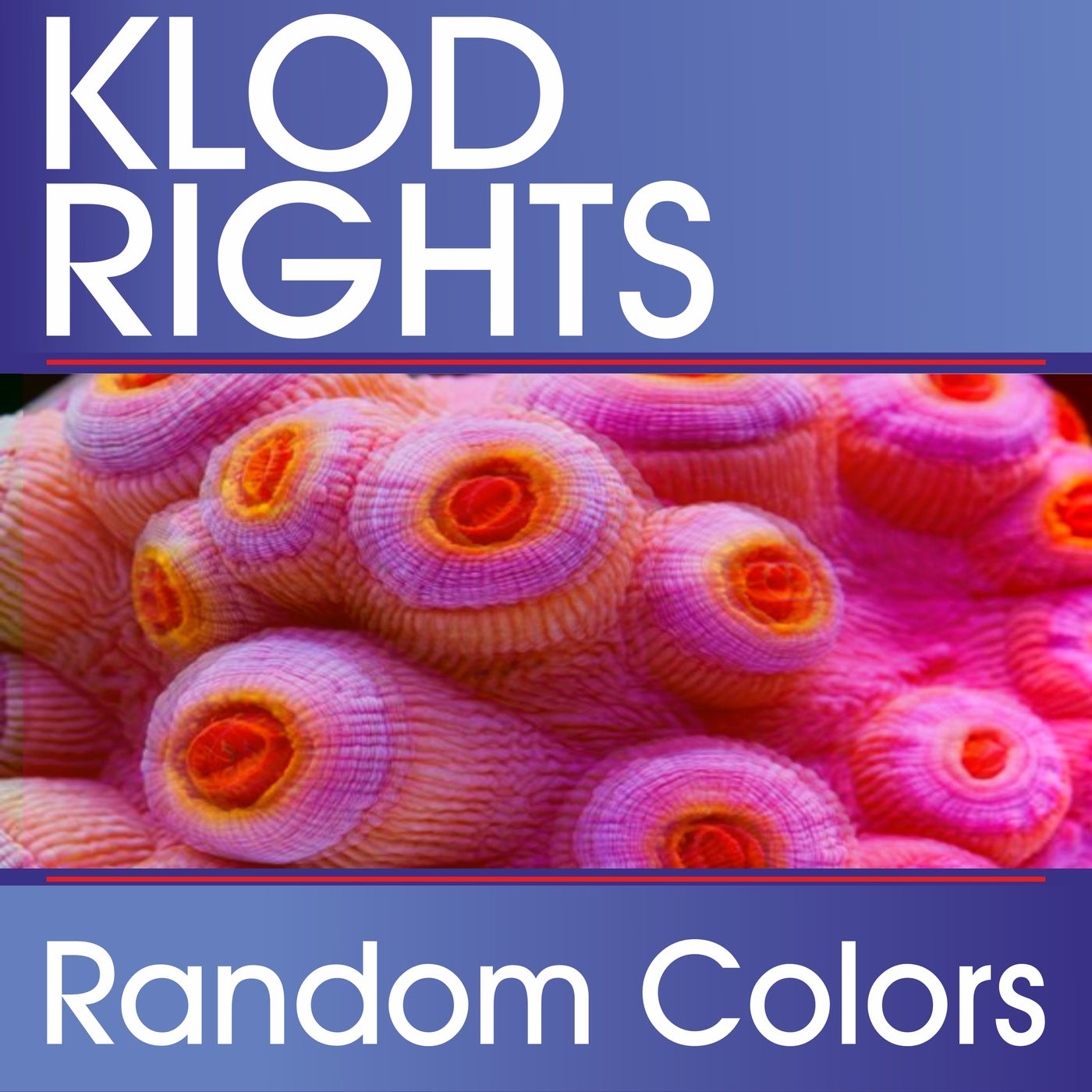 Random Colors