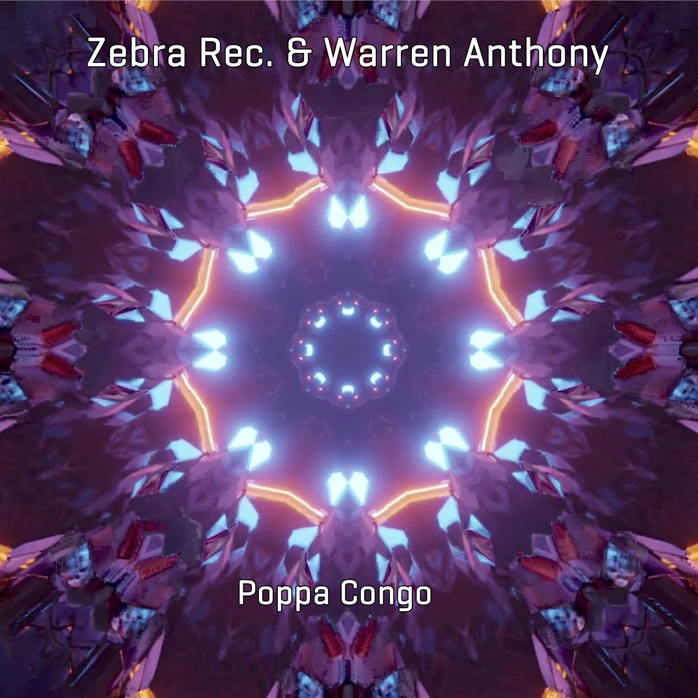 Zebra Rec., Warren Anthony – Poppa Congo 1305776 Zebra Rec., Warren Anthony – Poppa Congo 1305776