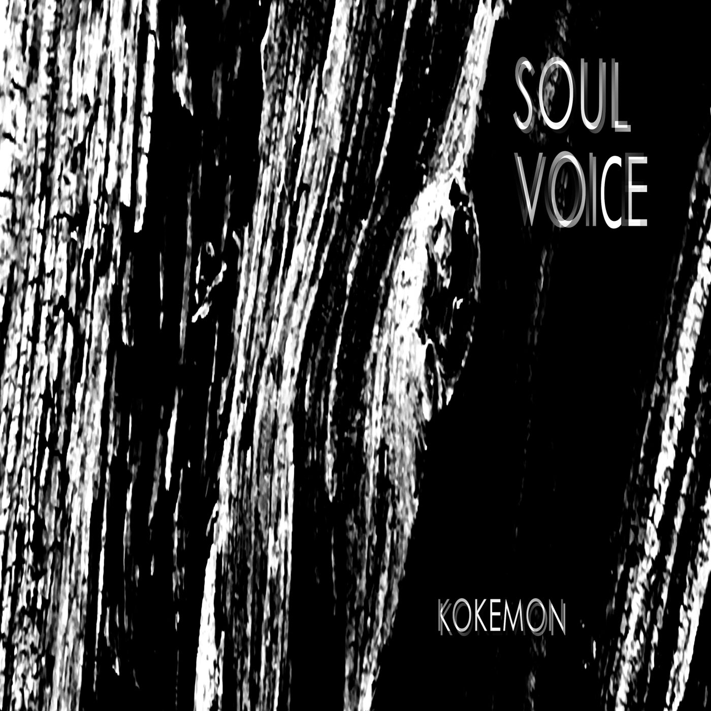 Soul Voice