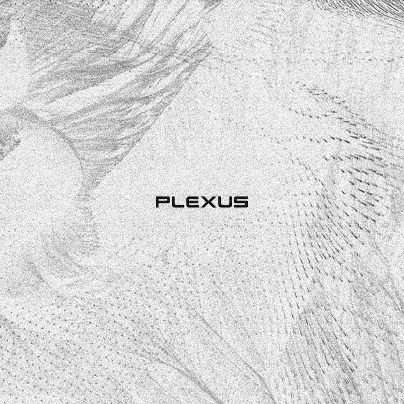 Plexus