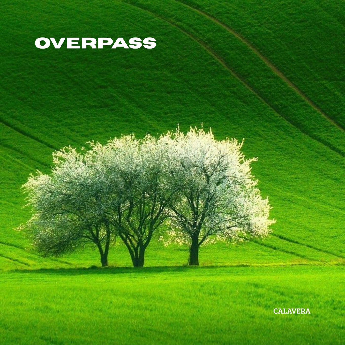 Overpass
