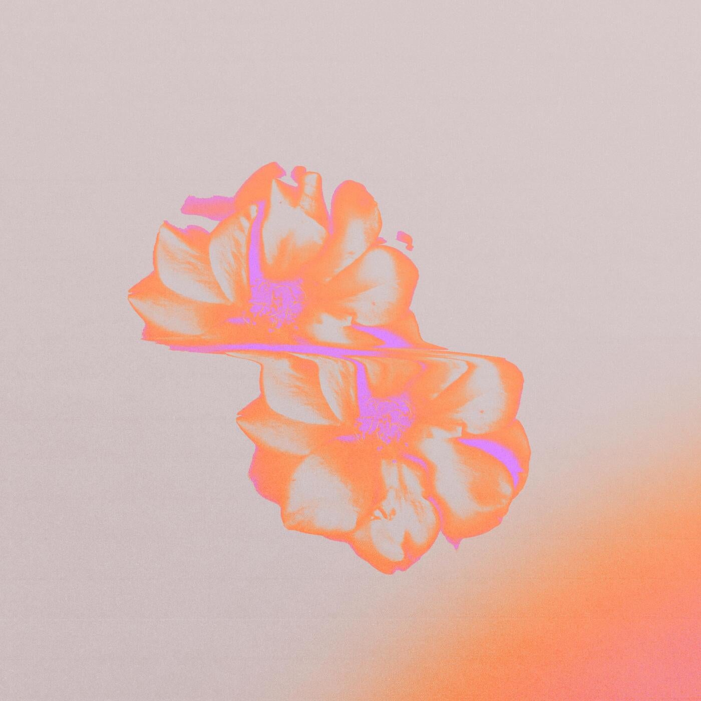 Mirrors