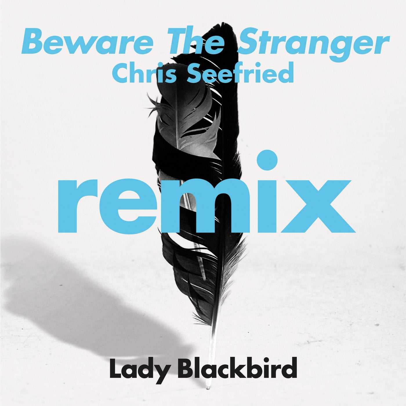 Beware The Stranger (Chris Seefried Remix) [feat. Trombone Shorty]
