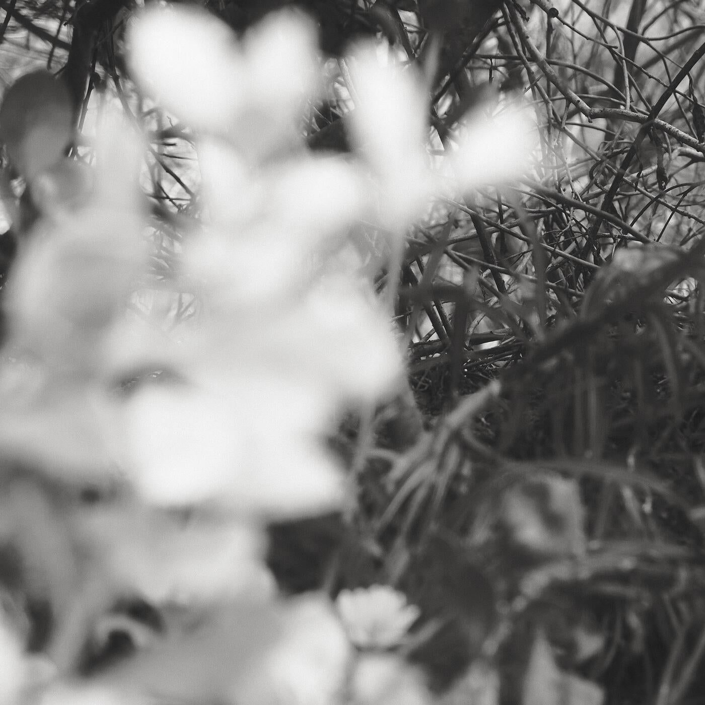 Time Vials, Pt. 4
