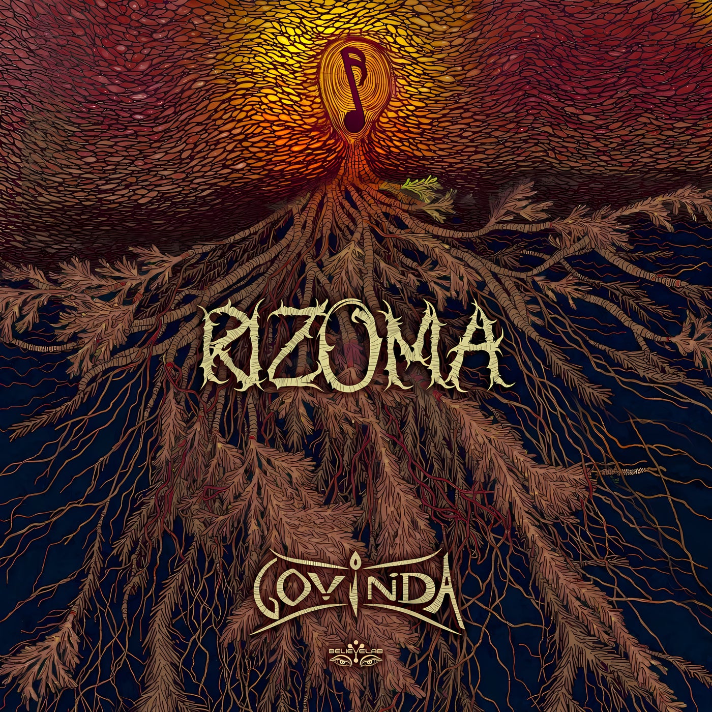 Rizoma