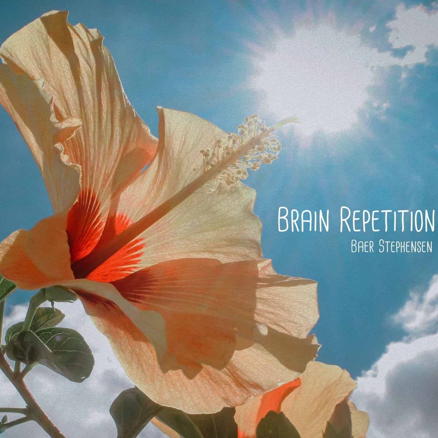 Brain Repetition