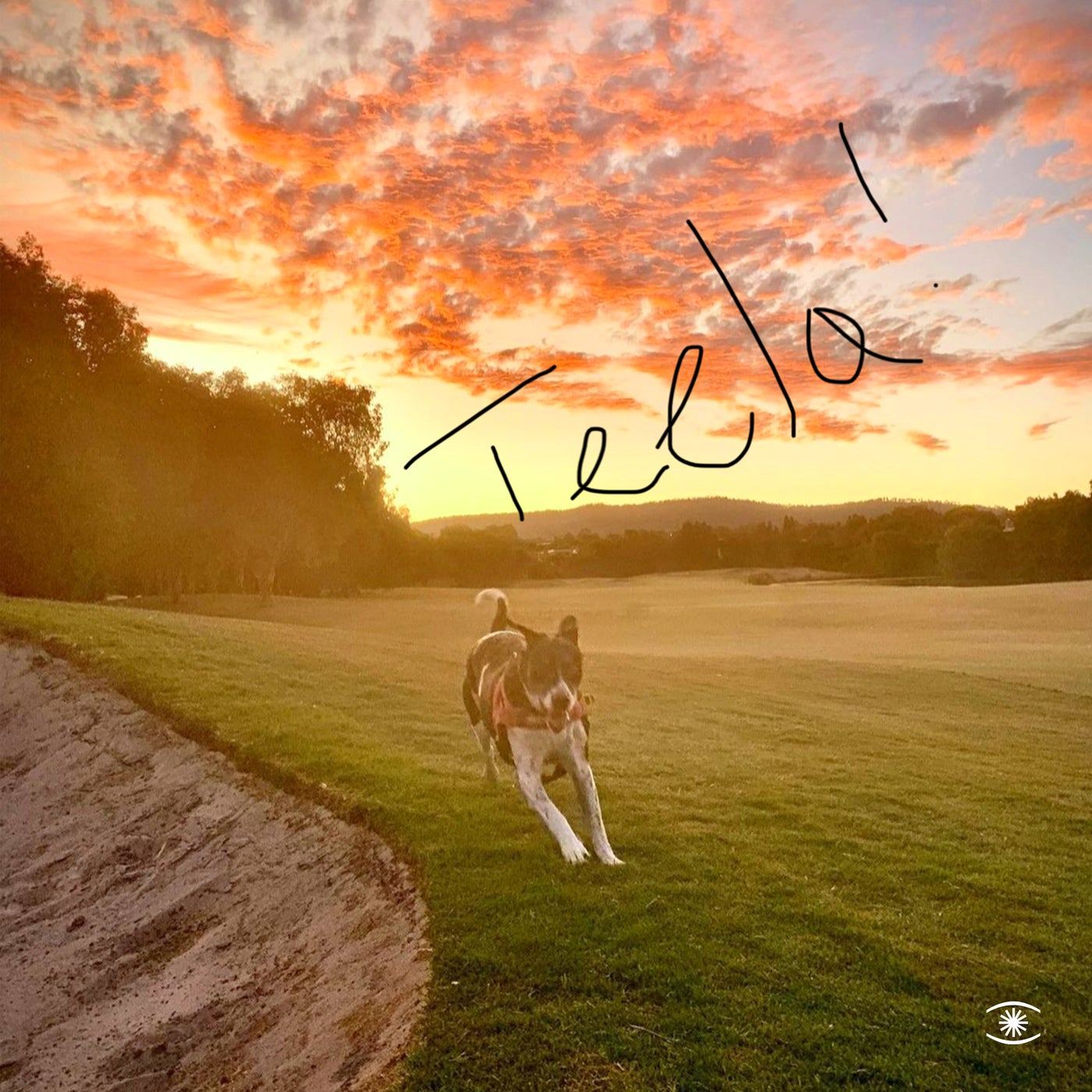 Teela