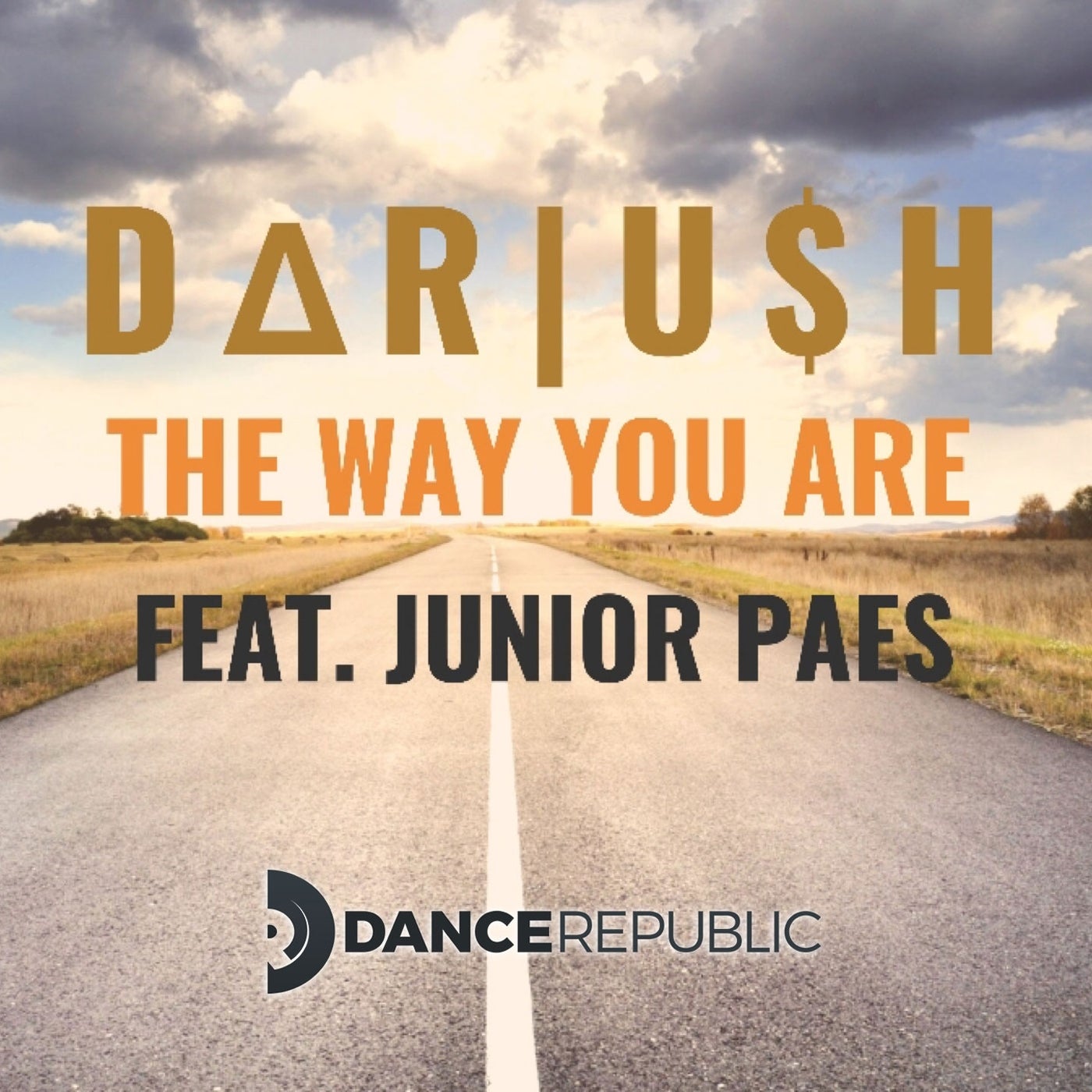 The Way You Are (feat. Junior Paes)