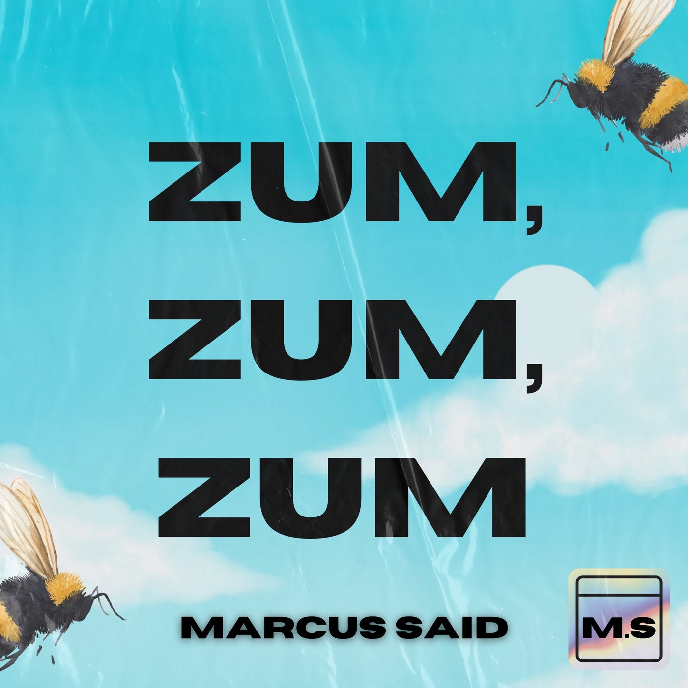Zum Zum Zum - Vip Mix